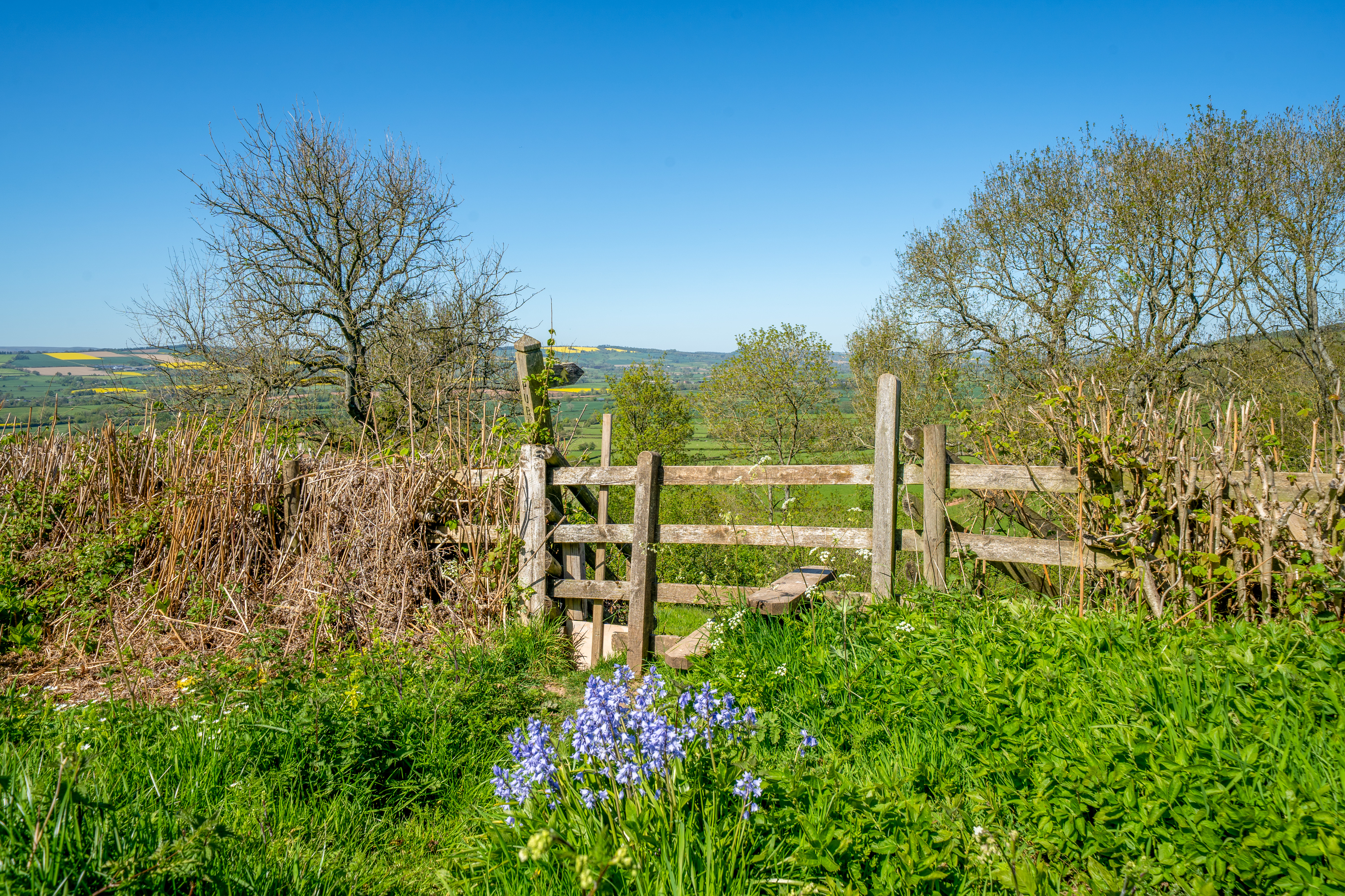 Haytons Bent, Ludlow, SY8, photo 44