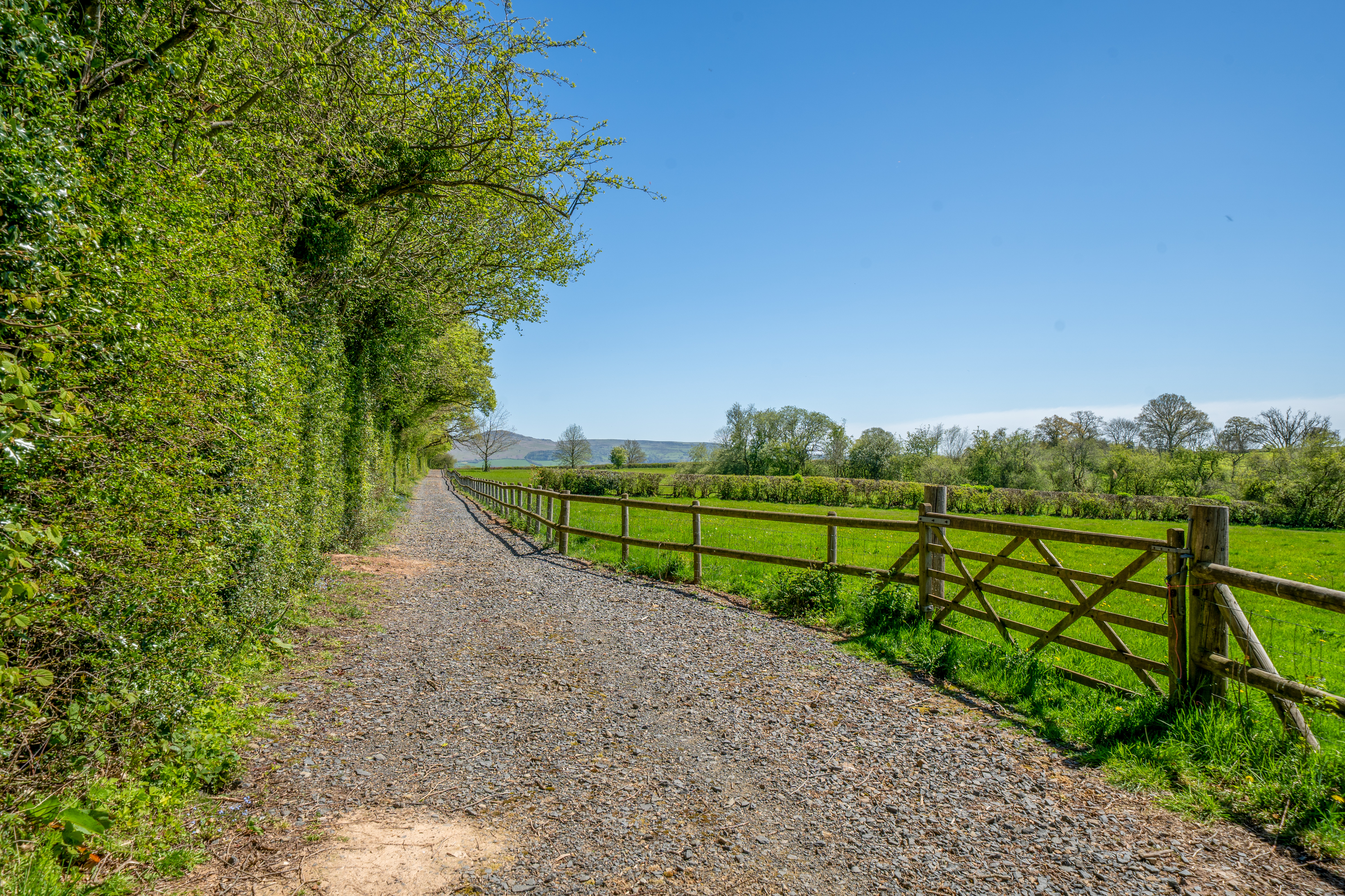 Haytons Bent, Ludlow, SY8, photo 37