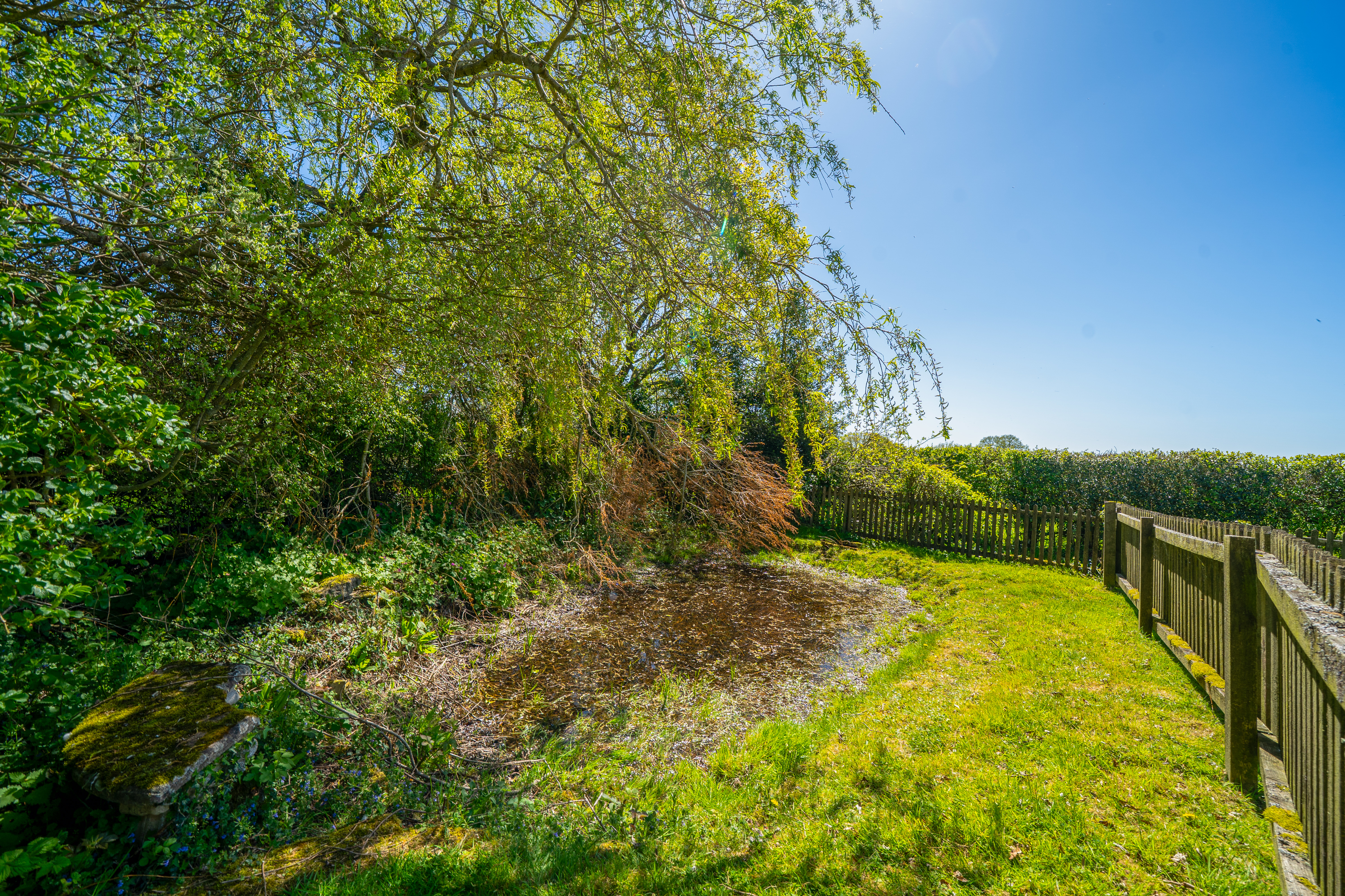 Haytons Bent, Ludlow, SY8, photo 36