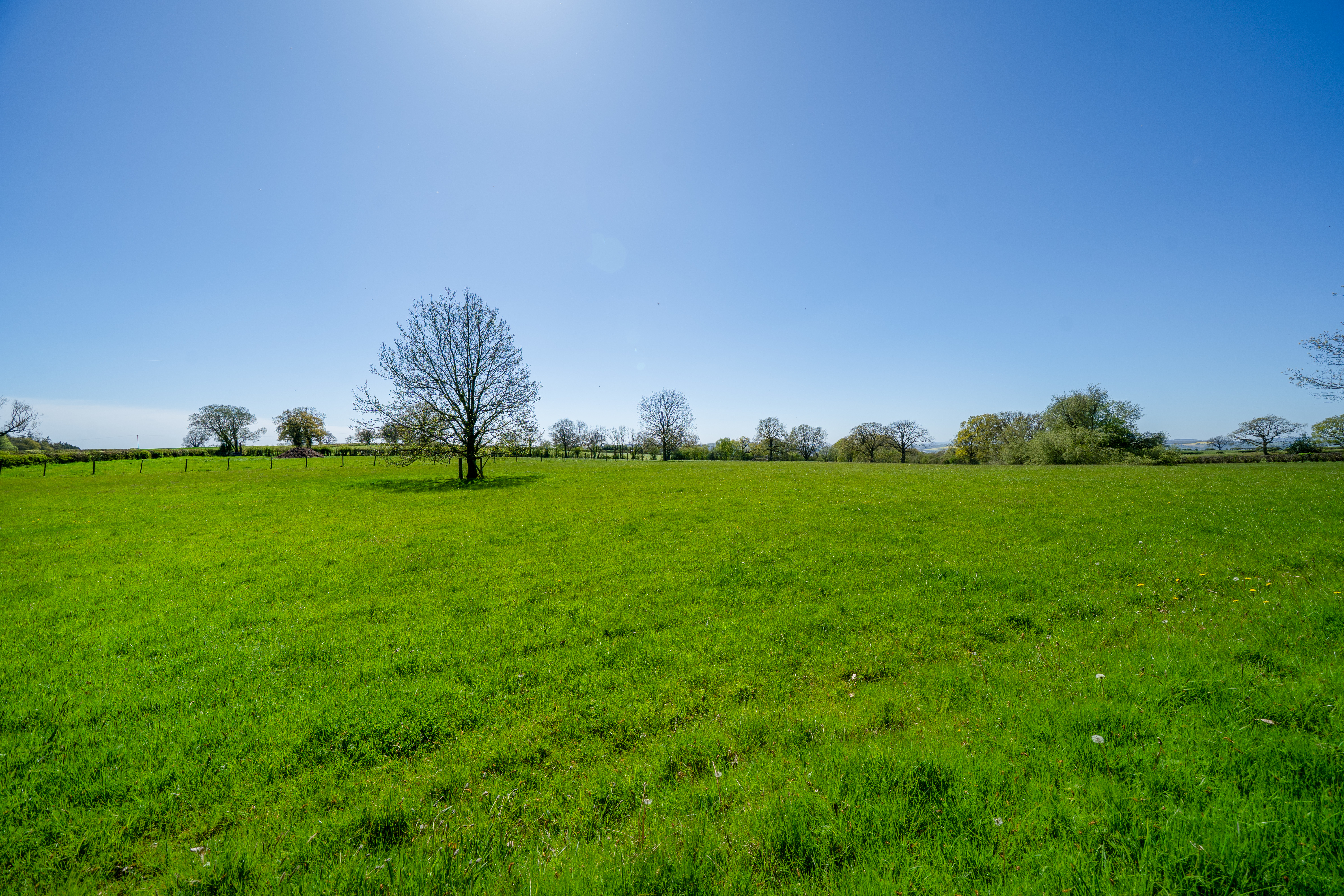 Haytons Bent, Ludlow, SY8, photo 29