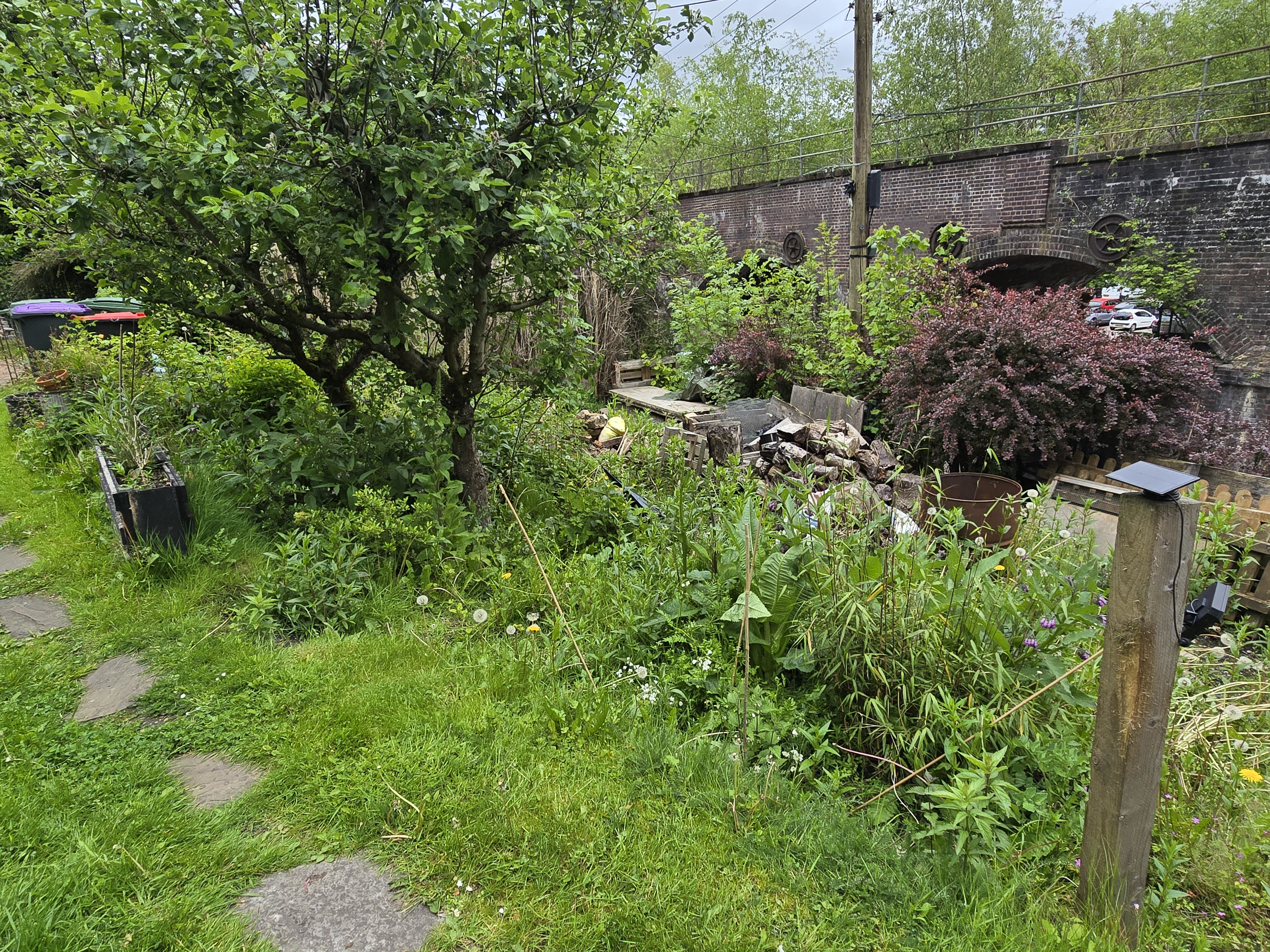 Photo 10