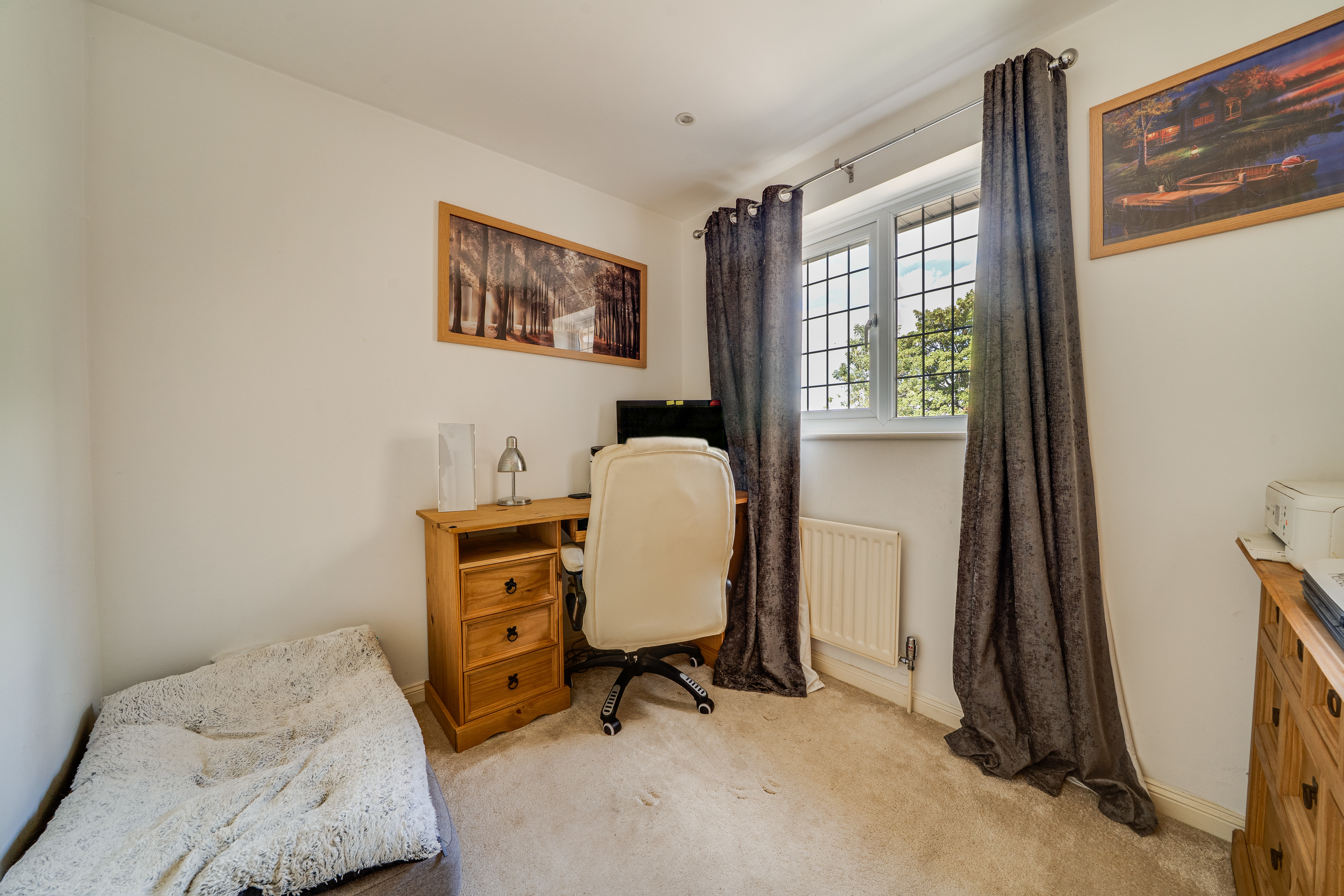 Pavilion Grove, St. Georges, TF2, photo 19