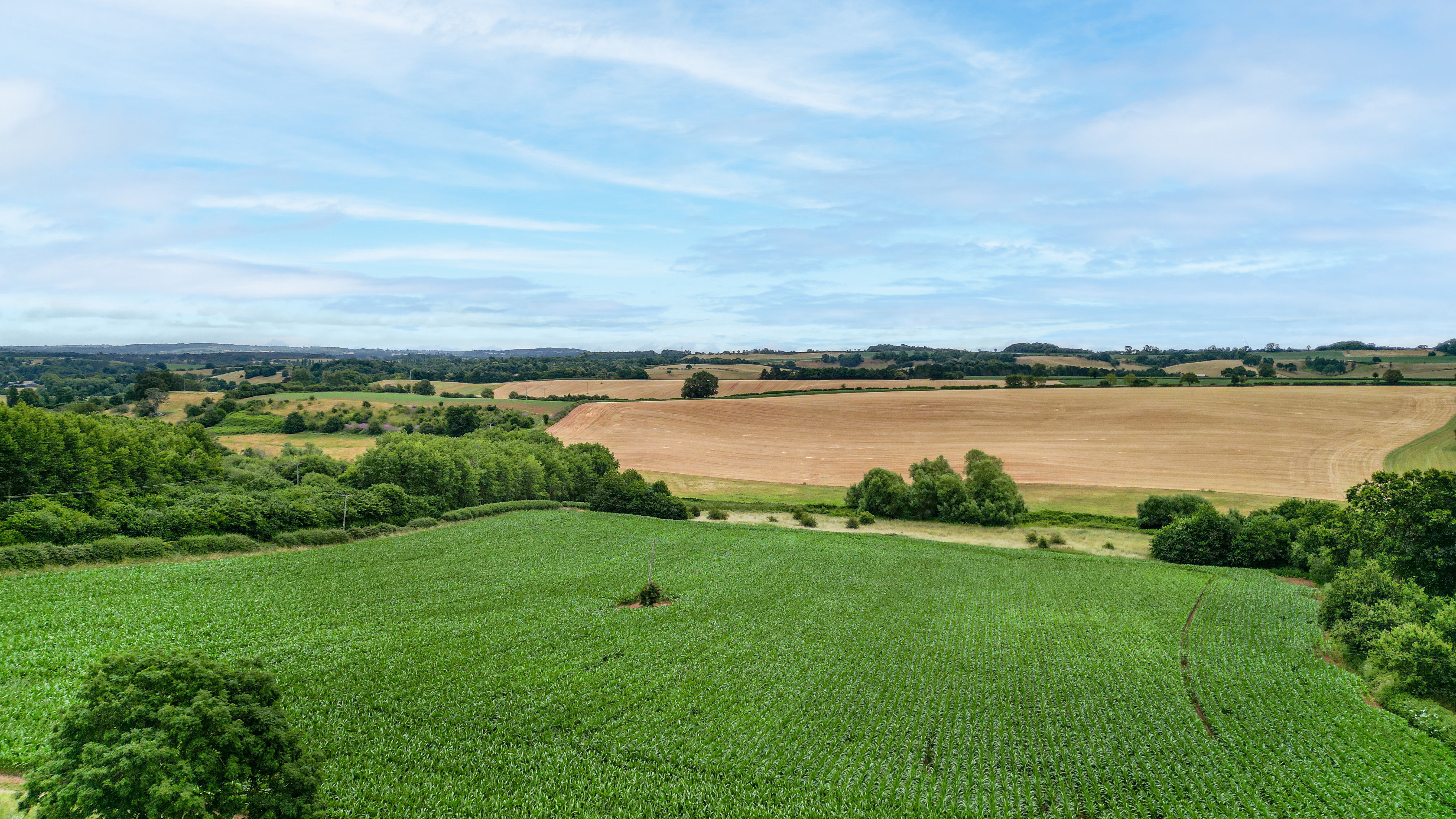 Hoccum, Bridgnorth, WV15, photo 29