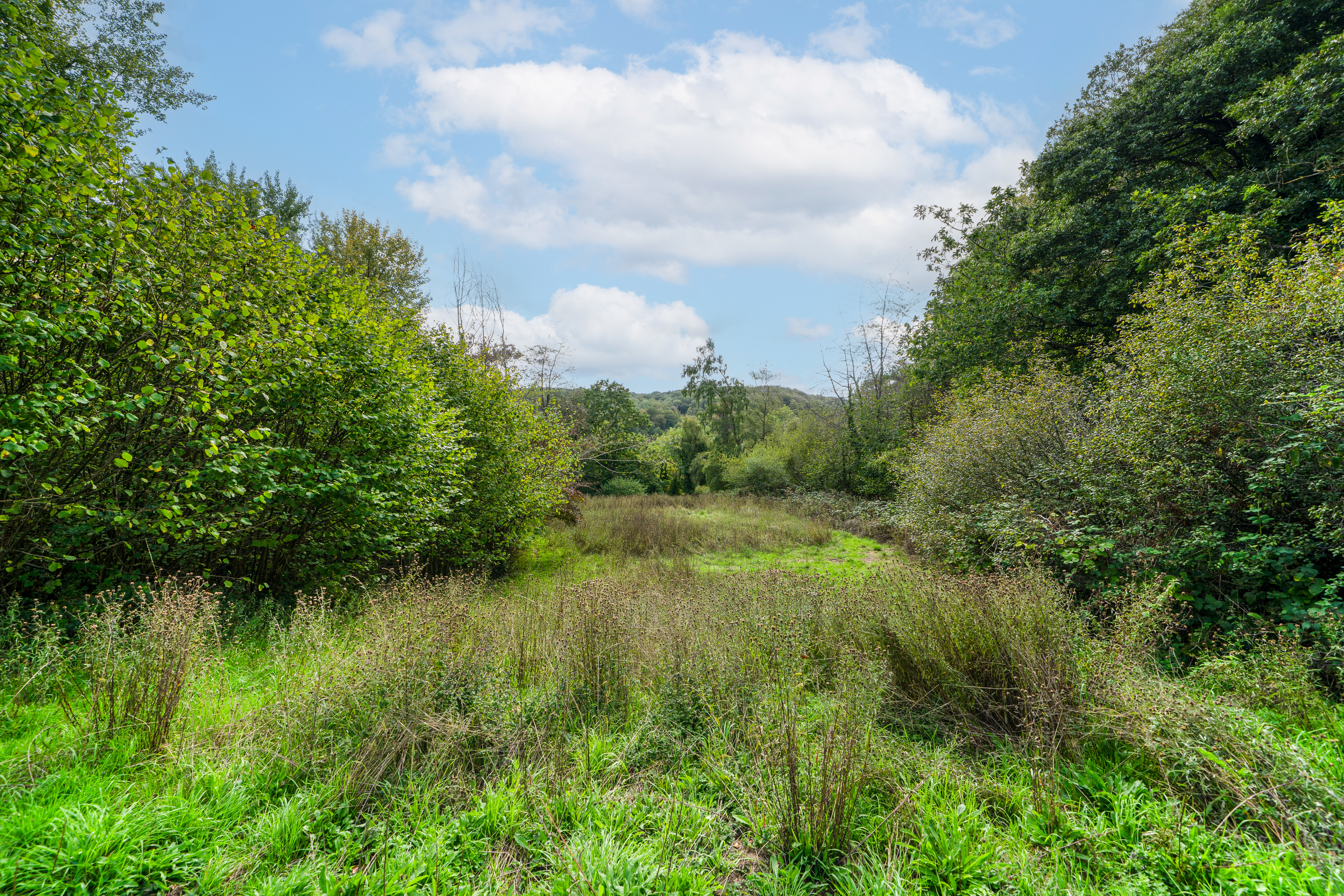 Lincoln Hill, Ironbridge, TF8, photo 28