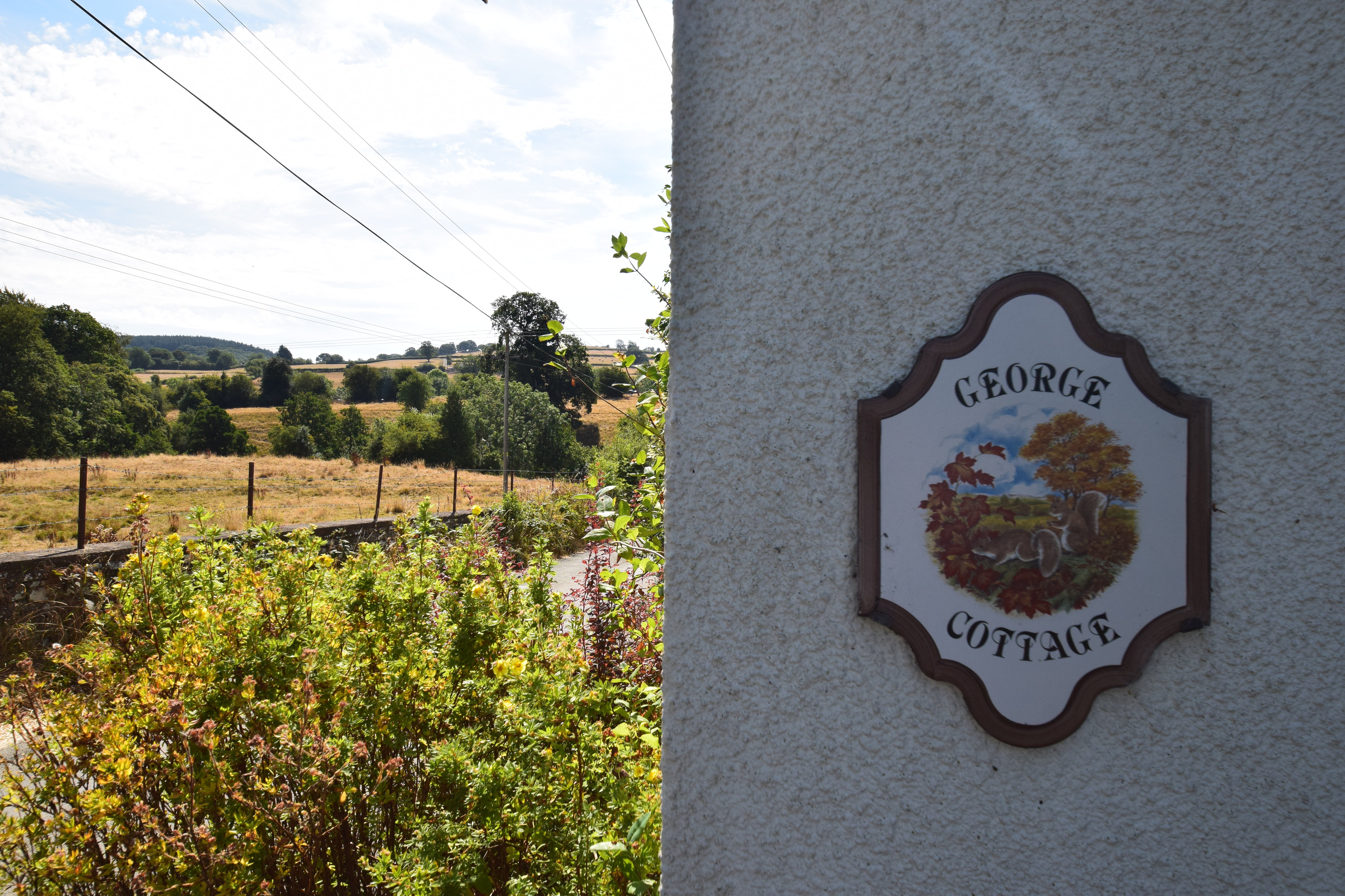Hand Causeway, Clun, SY7, photo 15