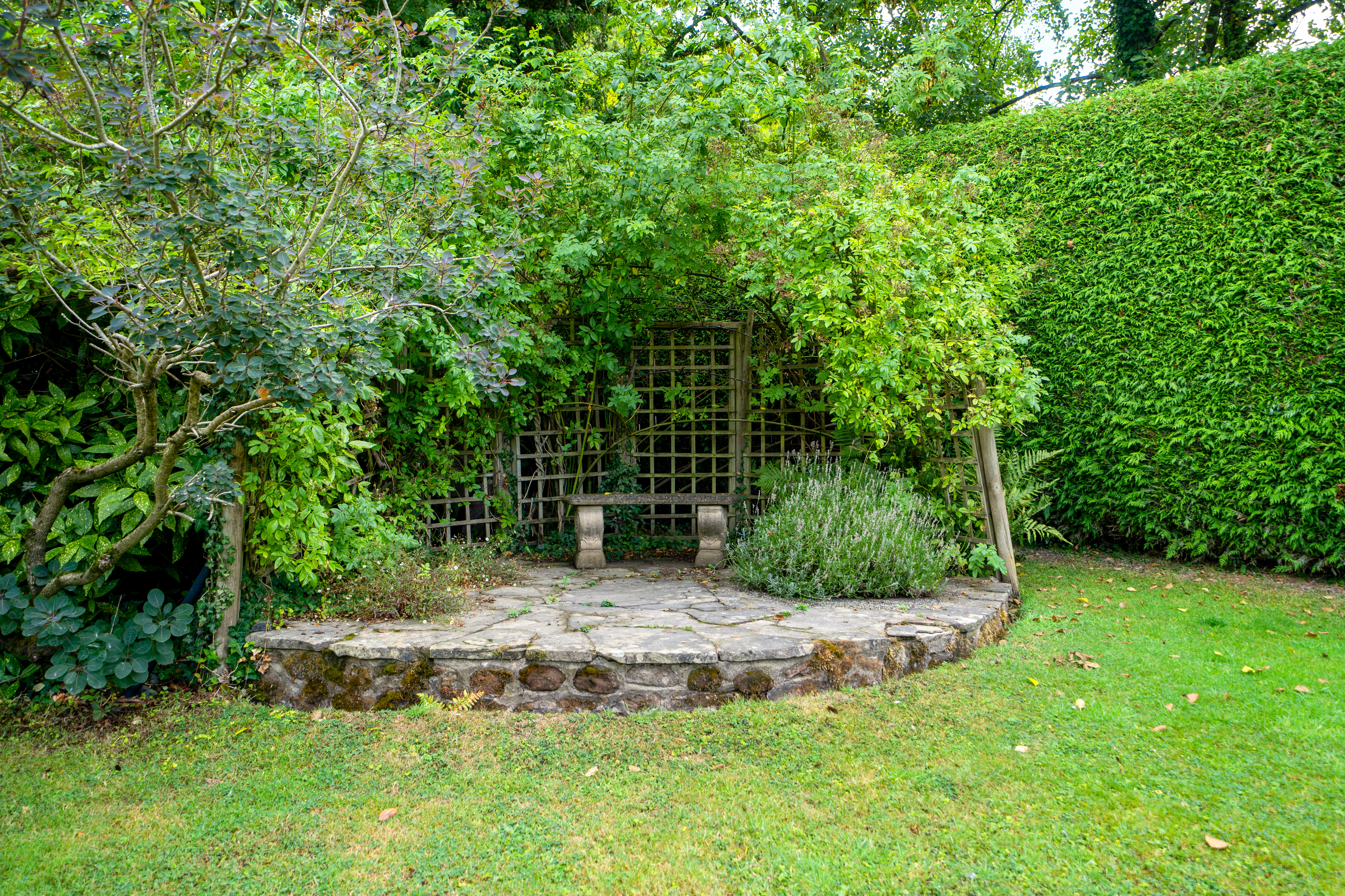 Photo 35