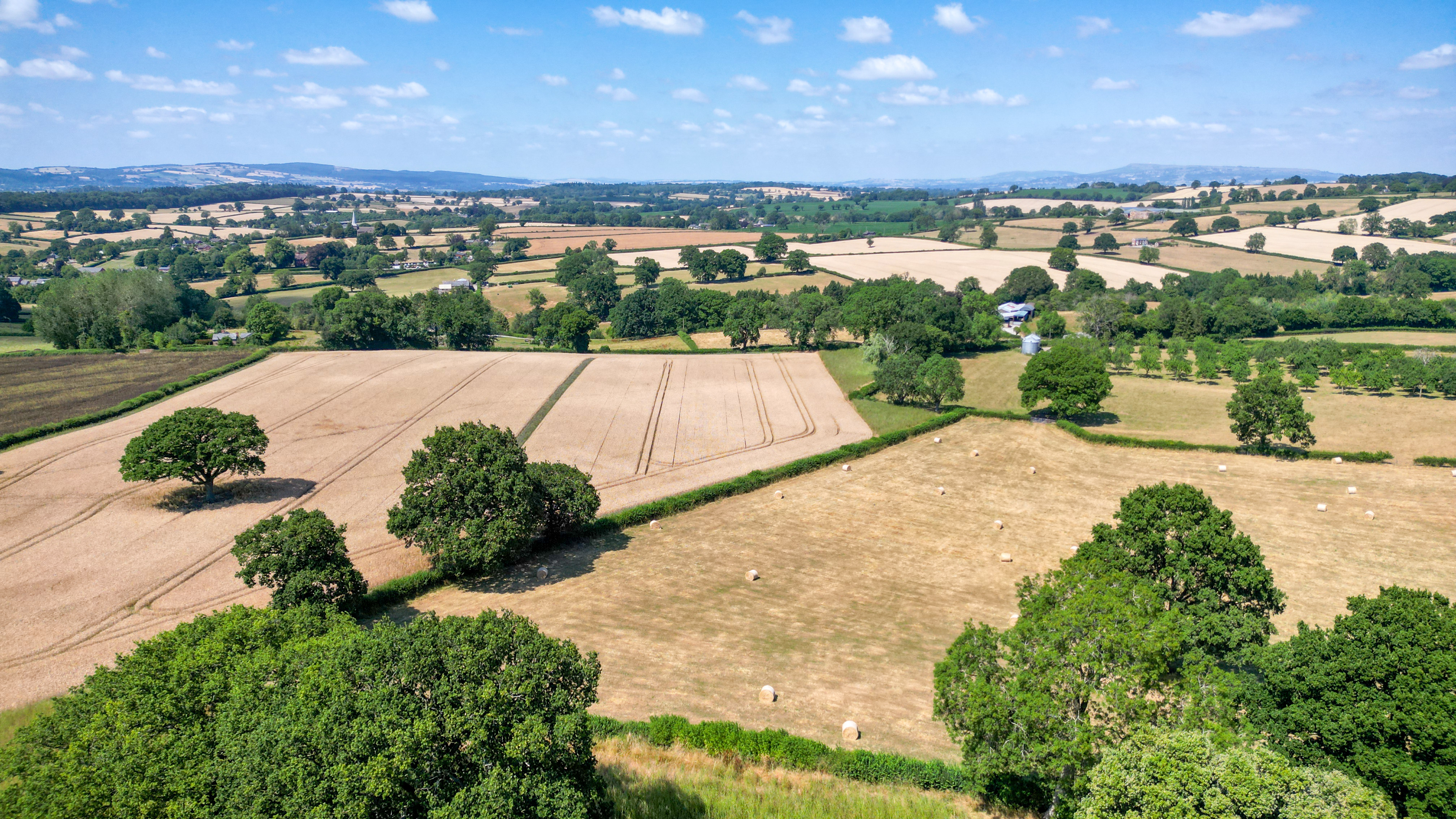 Kimbolton, Herefordshire, HR6, photo 47