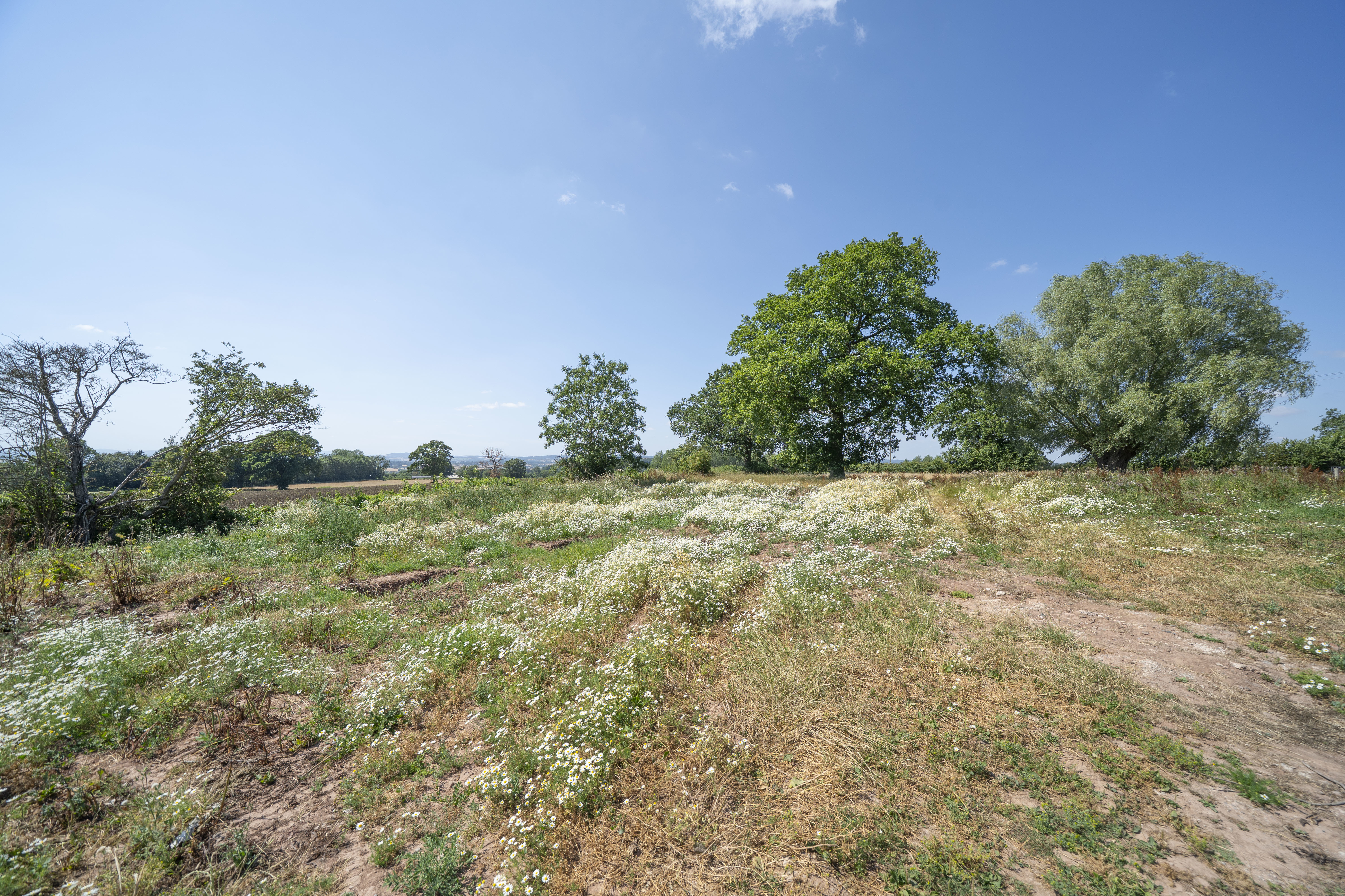 Kimbolton, Herefordshire, HR6, photo 34
