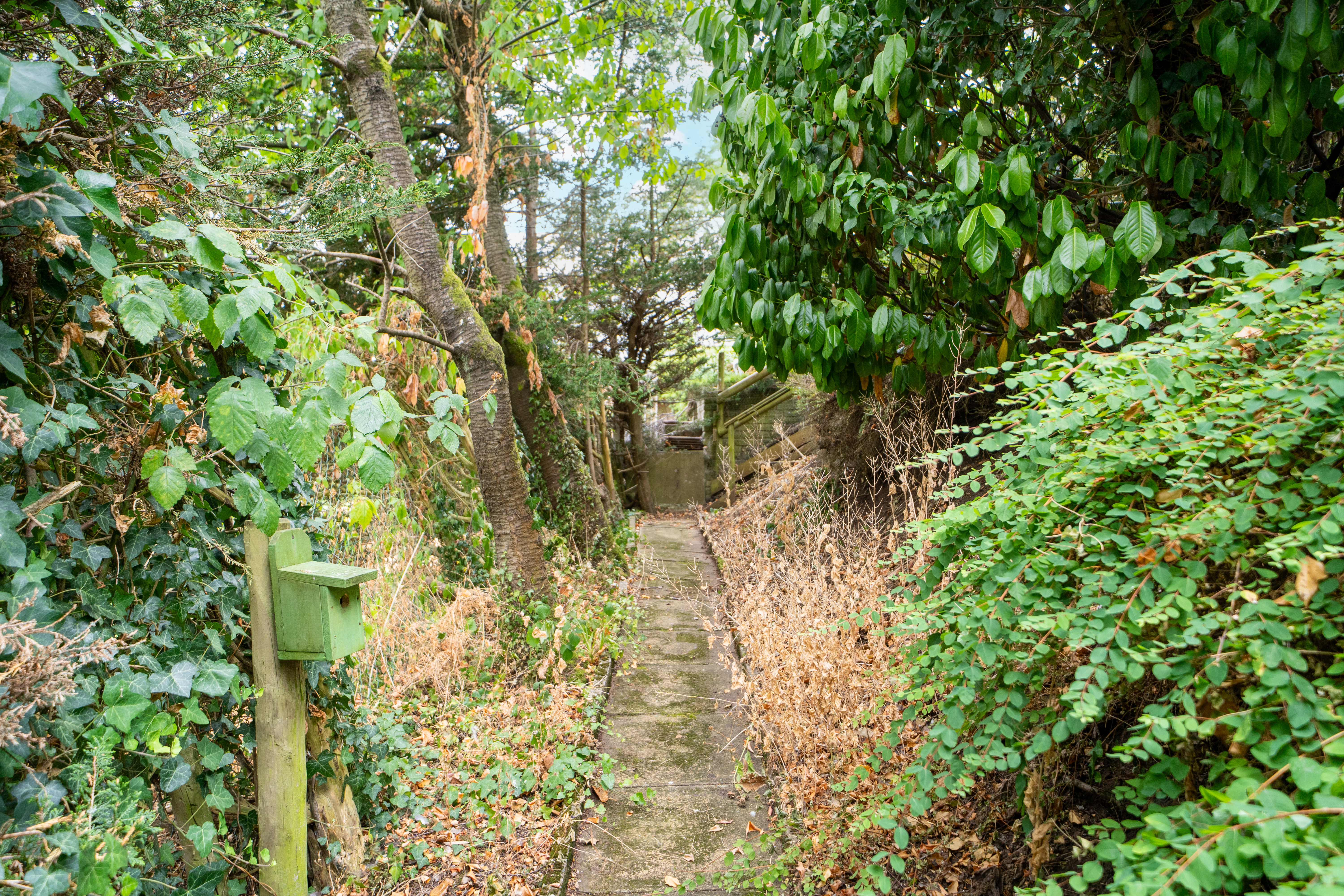 Rosehill Drive, Bridgnorth, WV16, photo 38