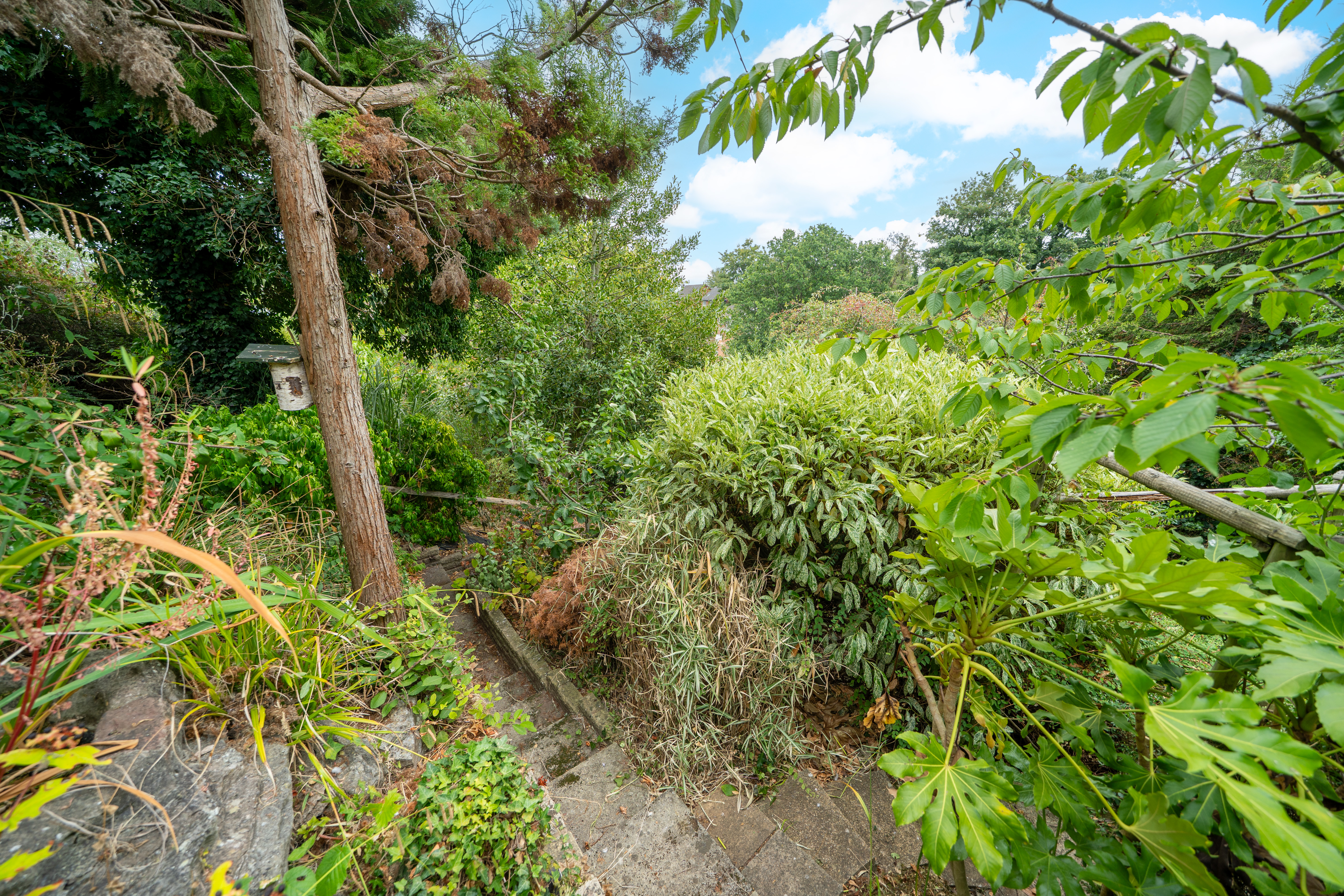 Rosehill Drive, Bridgnorth, WV16, photo 36