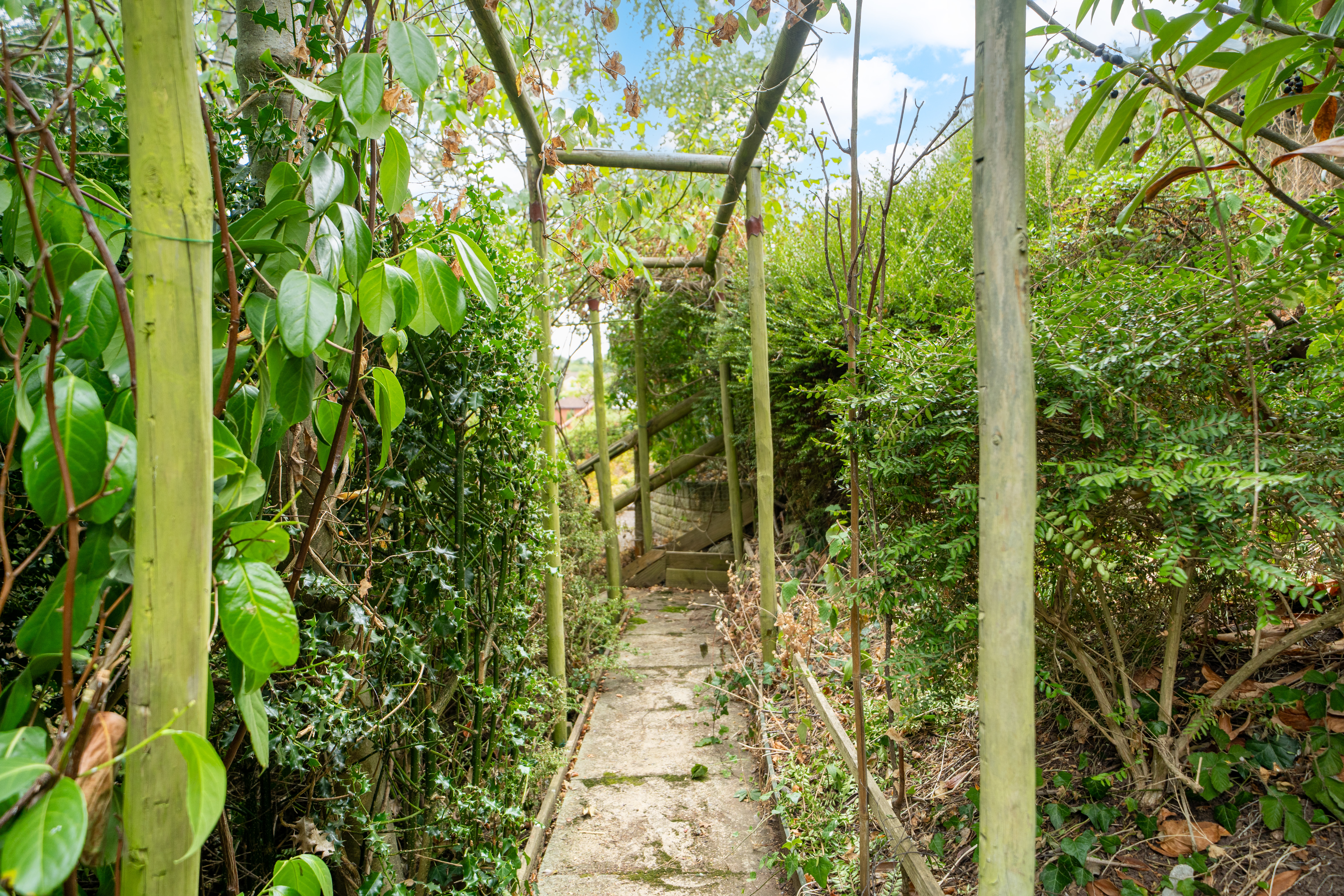 Rosehill Drive, Bridgnorth, WV16, photo 35