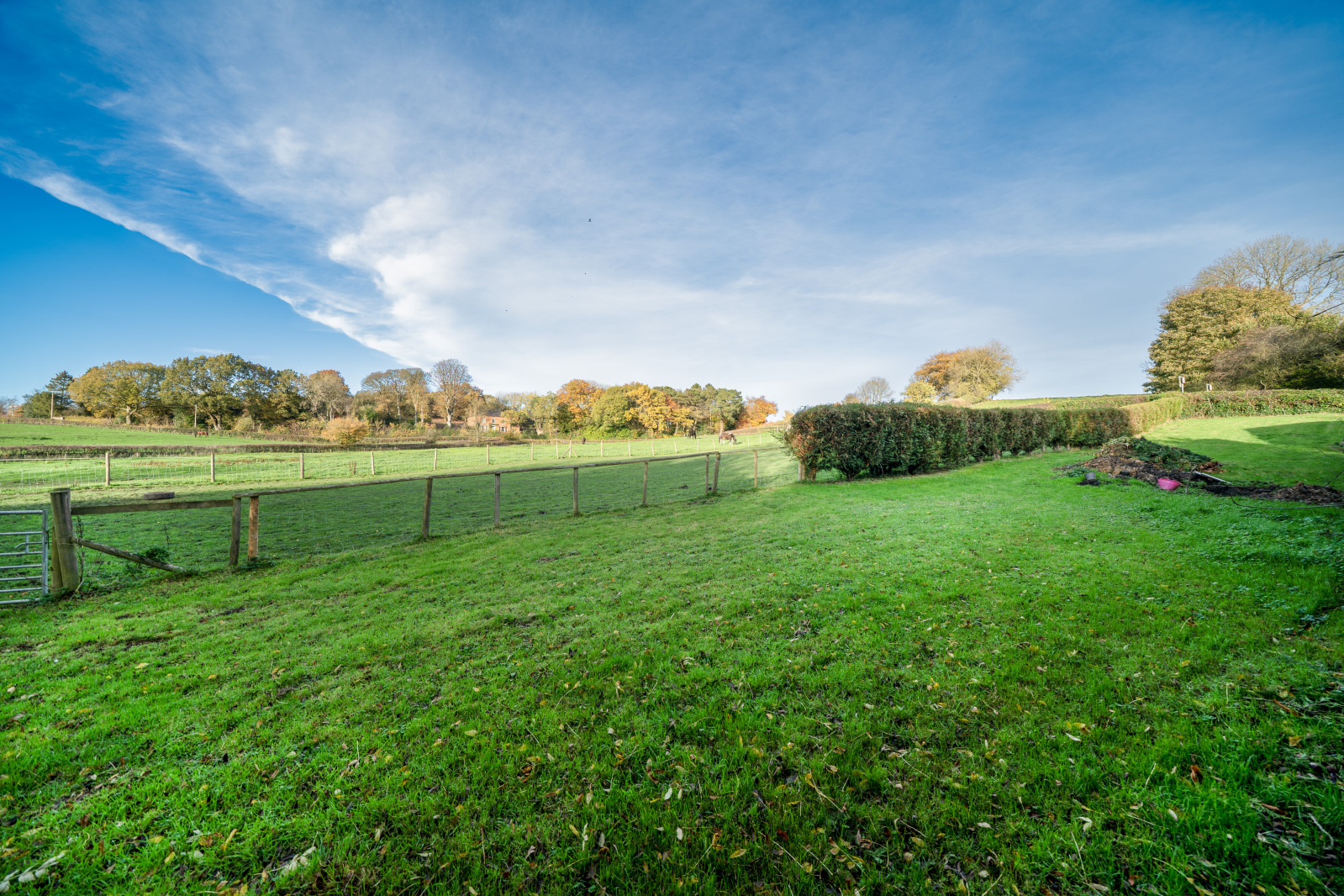 Knowbury, Ludlow, SY8, photo 22