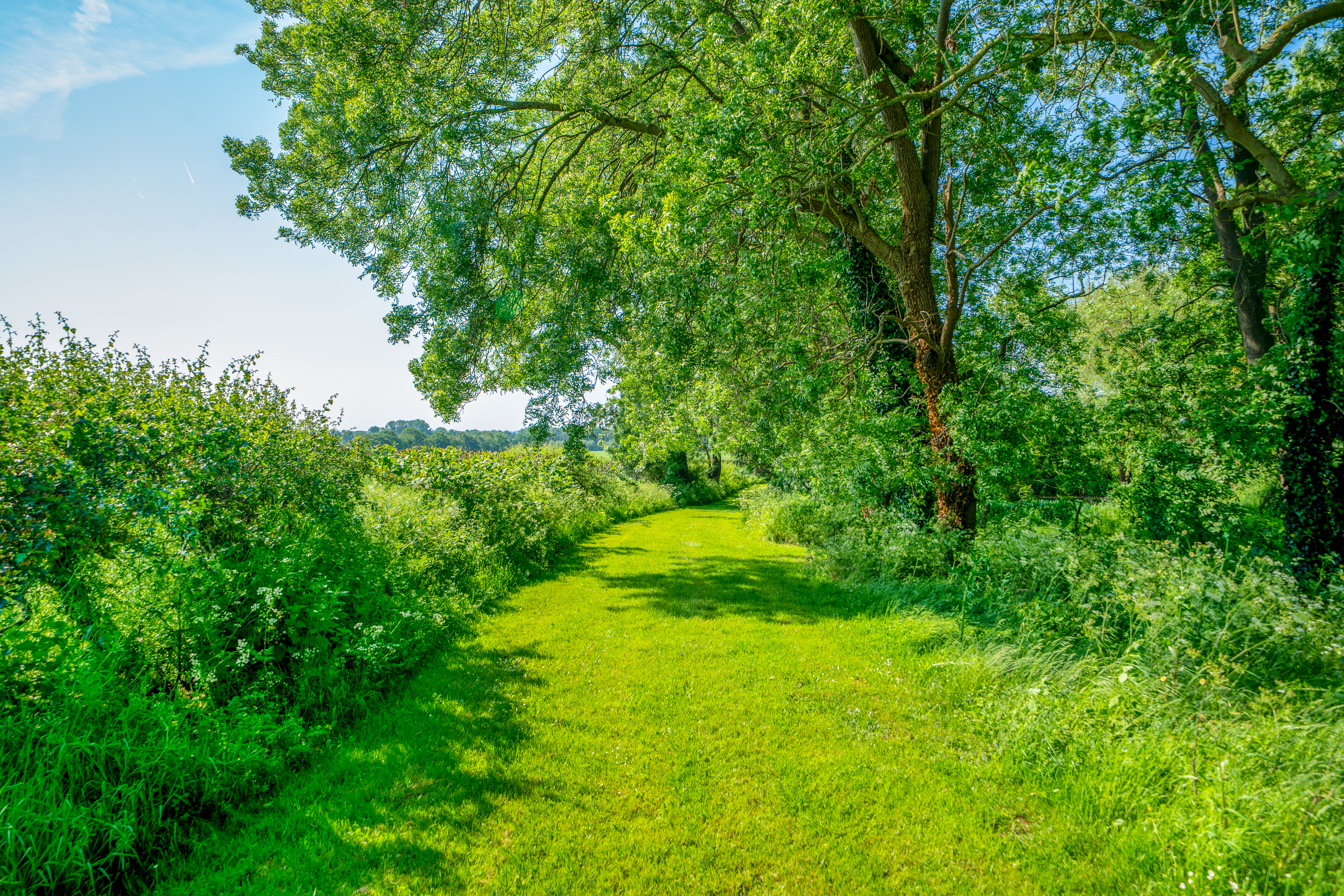 Shray Hill, Telford, TF6, photo 30