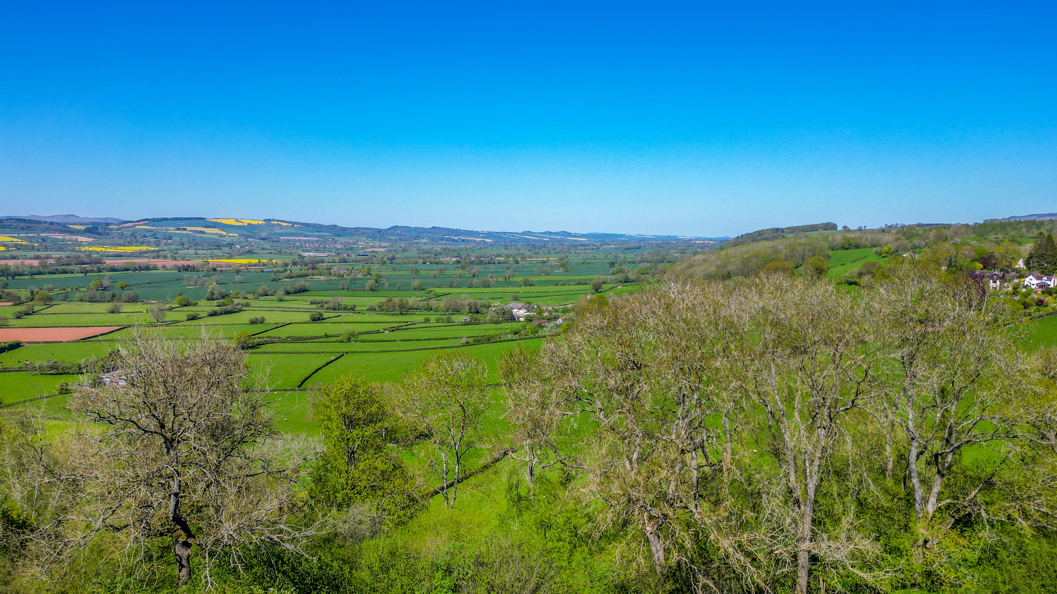 Haytons Bent, Ludlow, SY8, photo 19