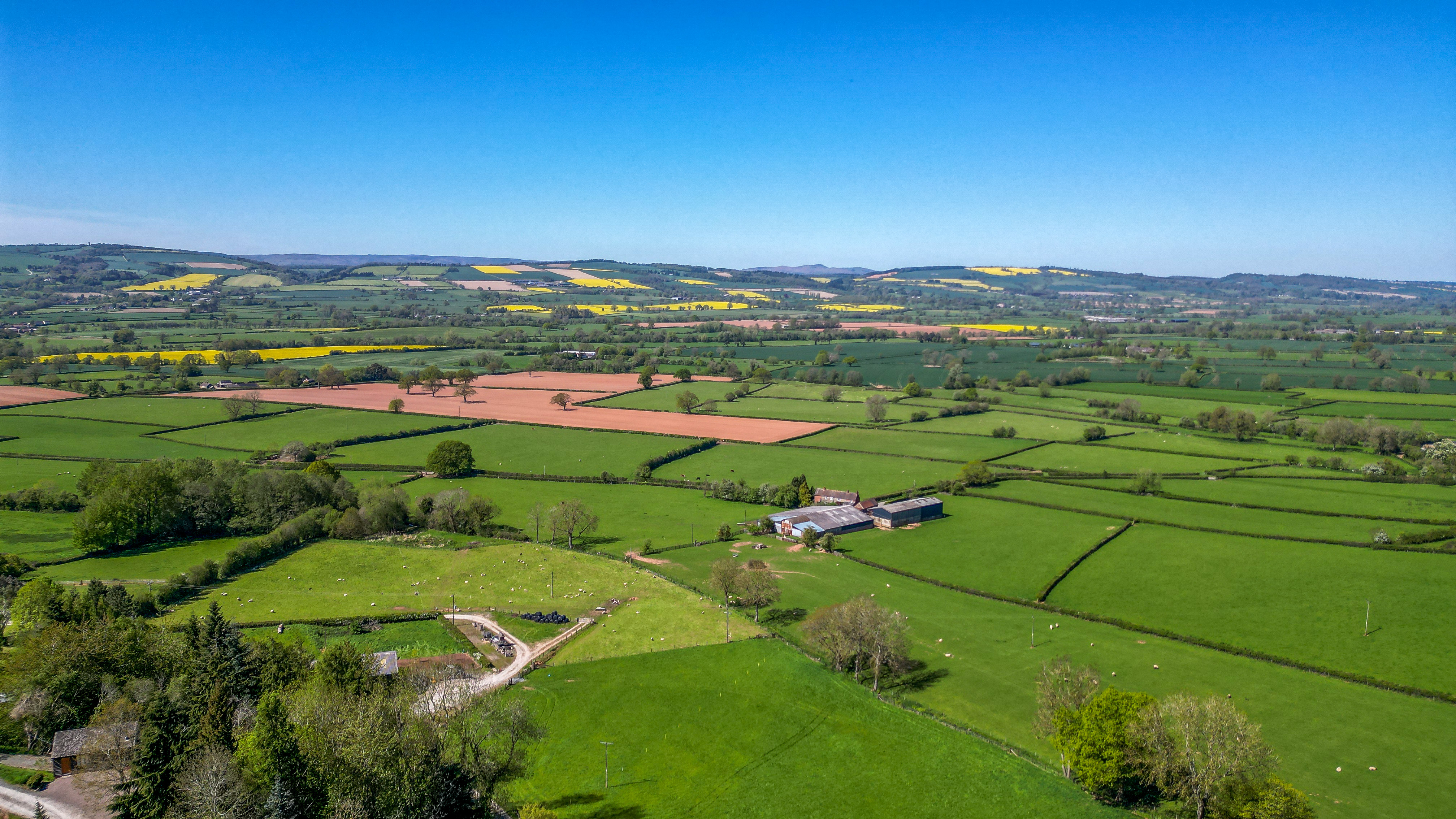 Haytons Bent, Ludlow, SY8, photo 26