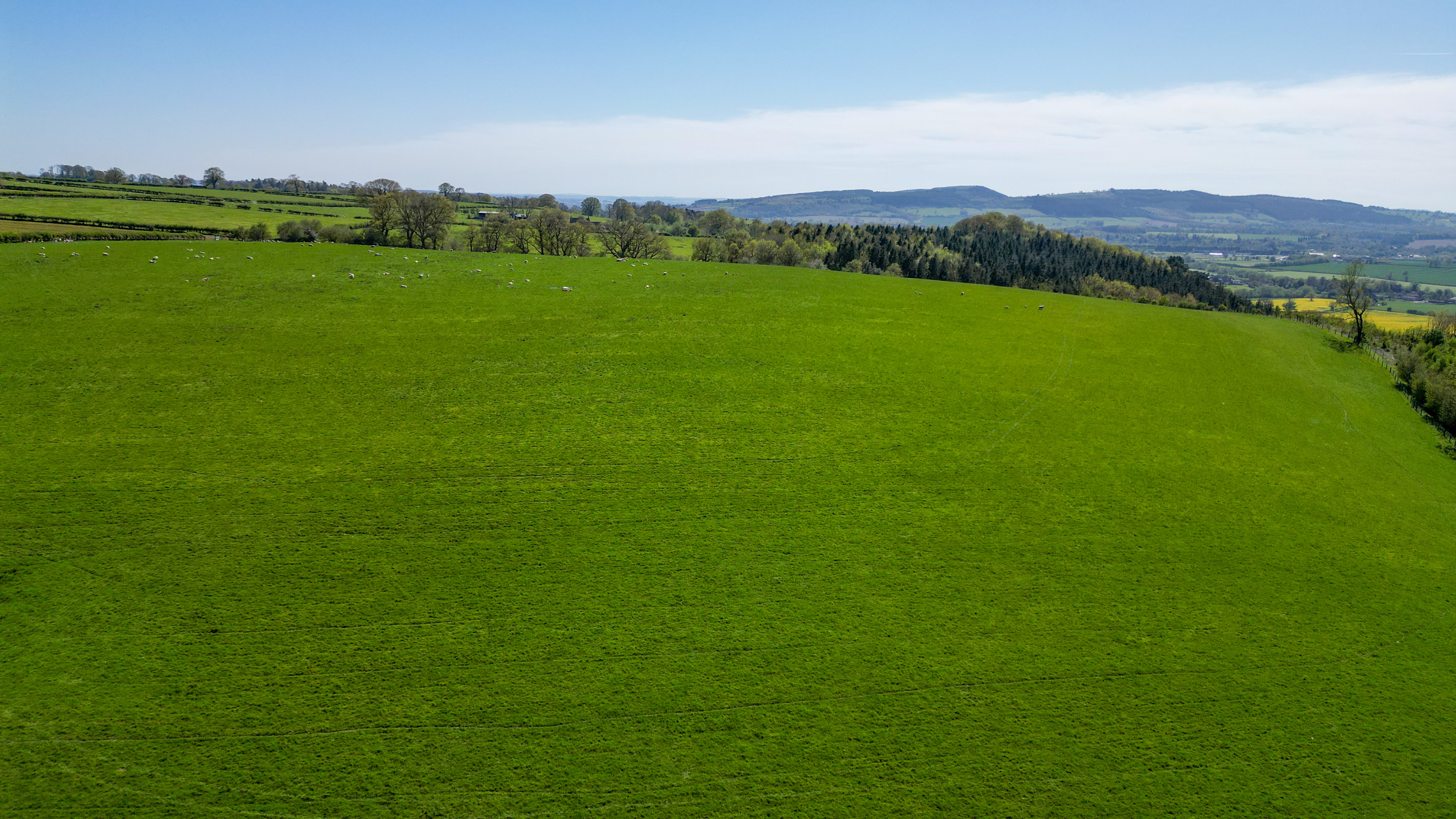 Haytons Bent, Ludlow, SY8, photo 4
