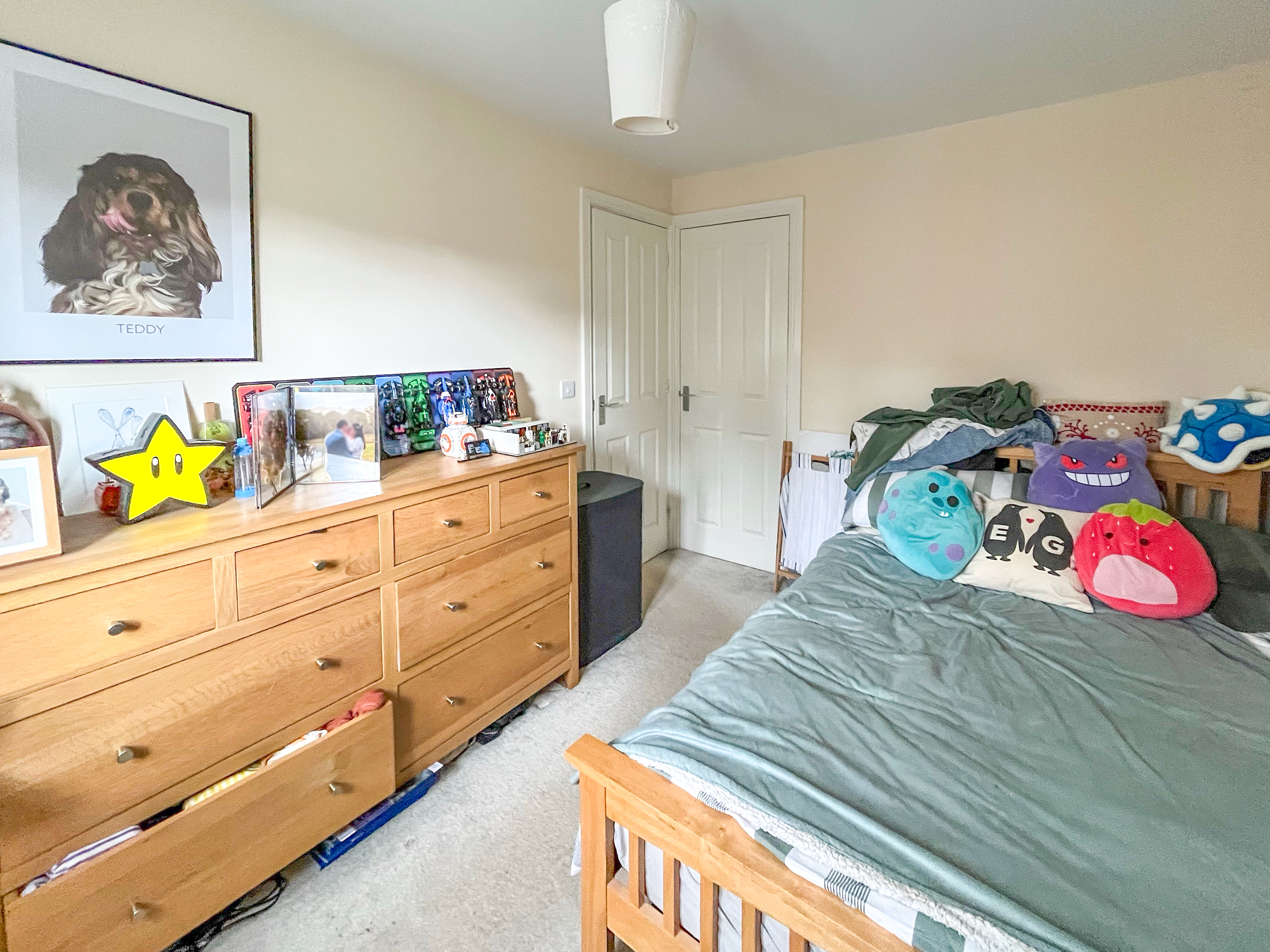 Audley Park, Newport, TF10, photo 9