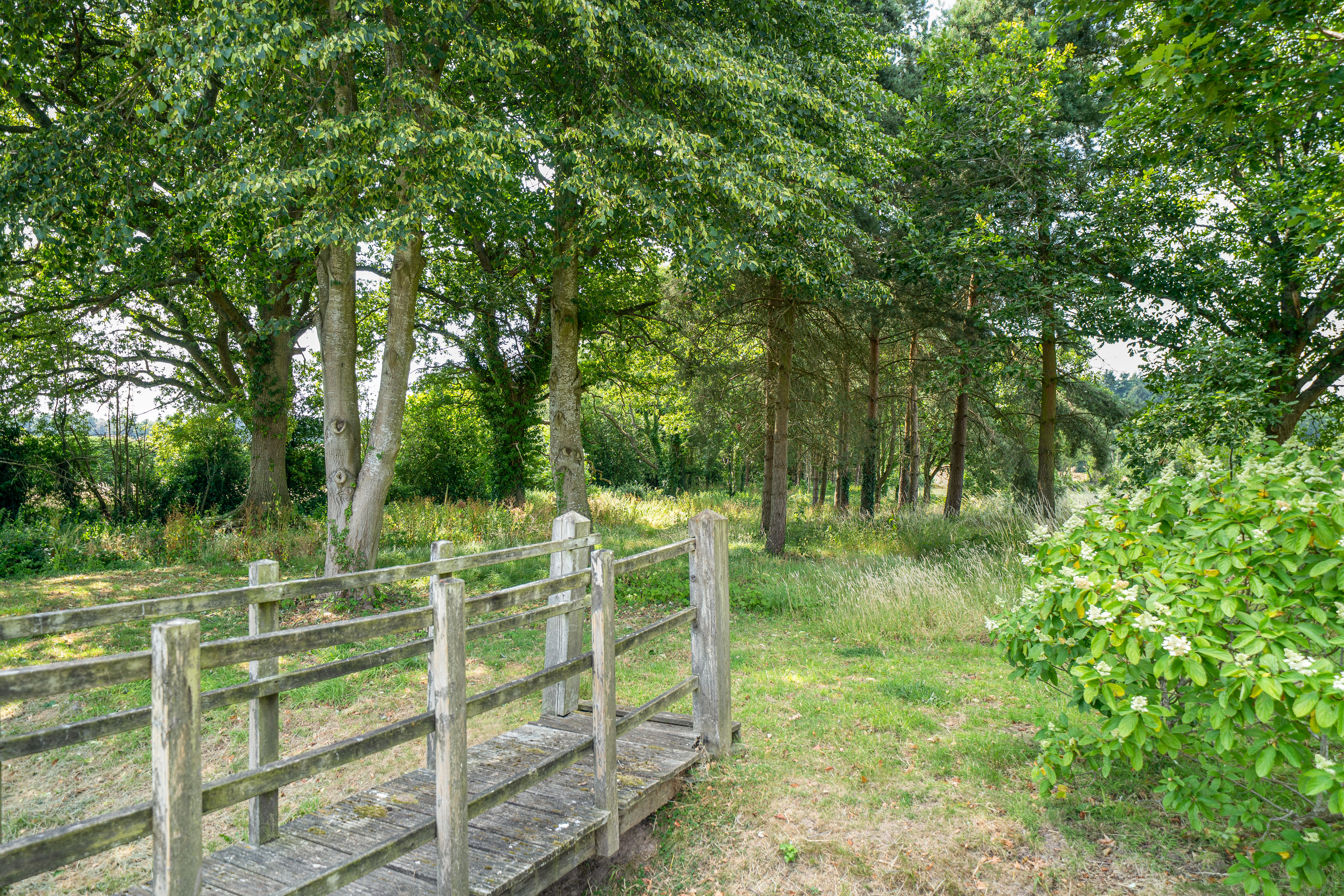 Broxwood, Leominster, HR6, photo 17