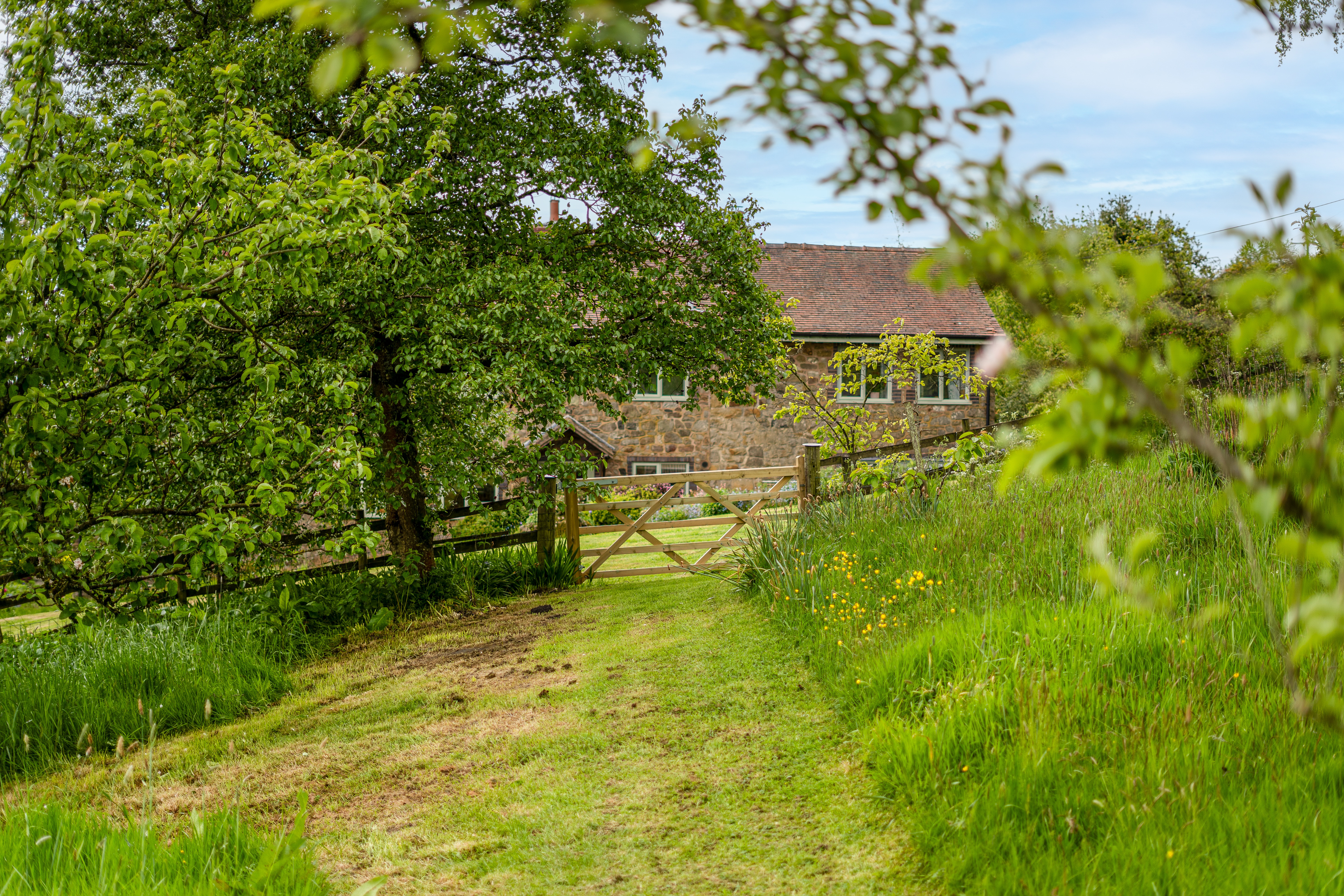 Hopton Bank, Hopton Wafers, DY14, photo 48