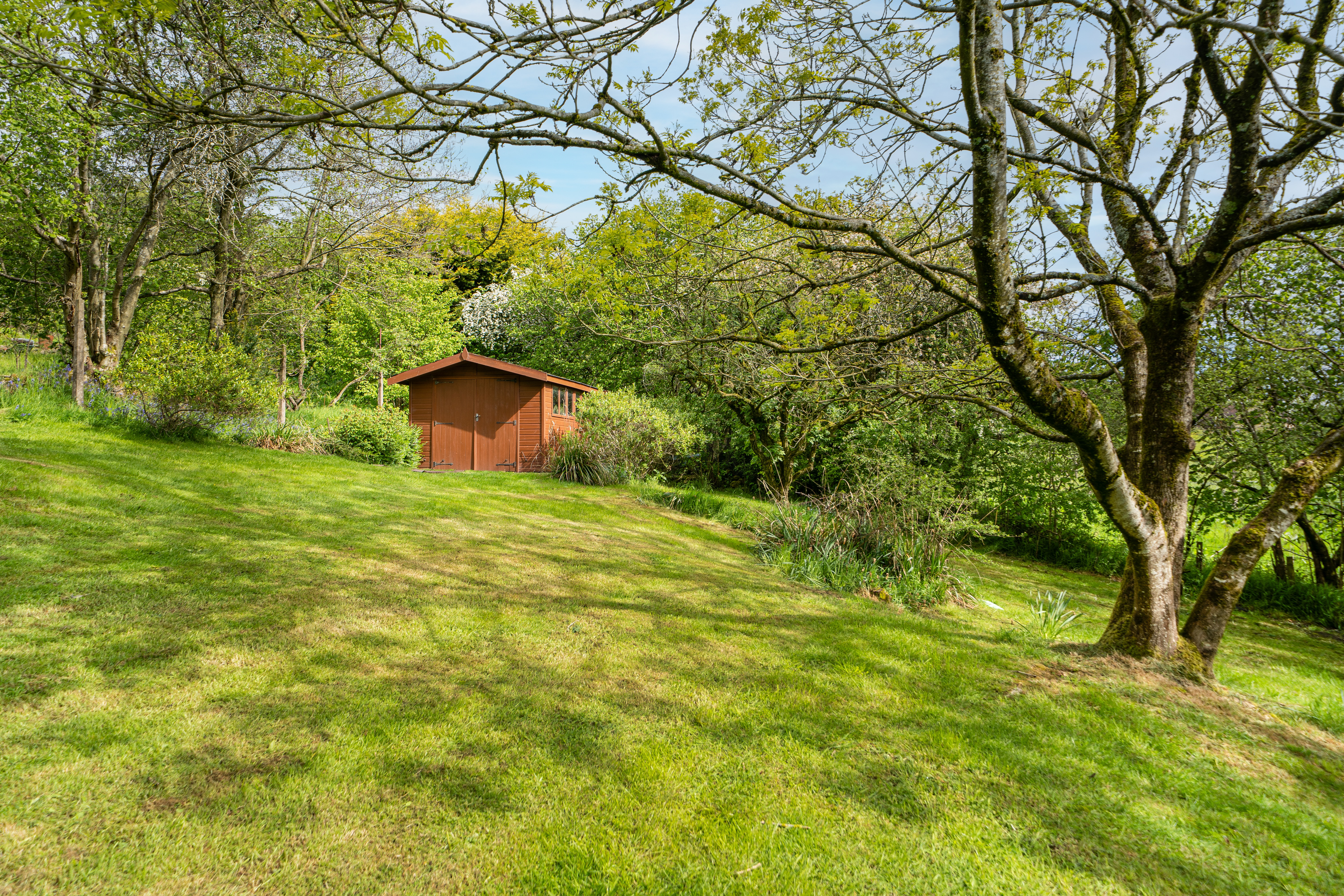 Hopton Bank, Hopton Wafers, DY14, photo 54