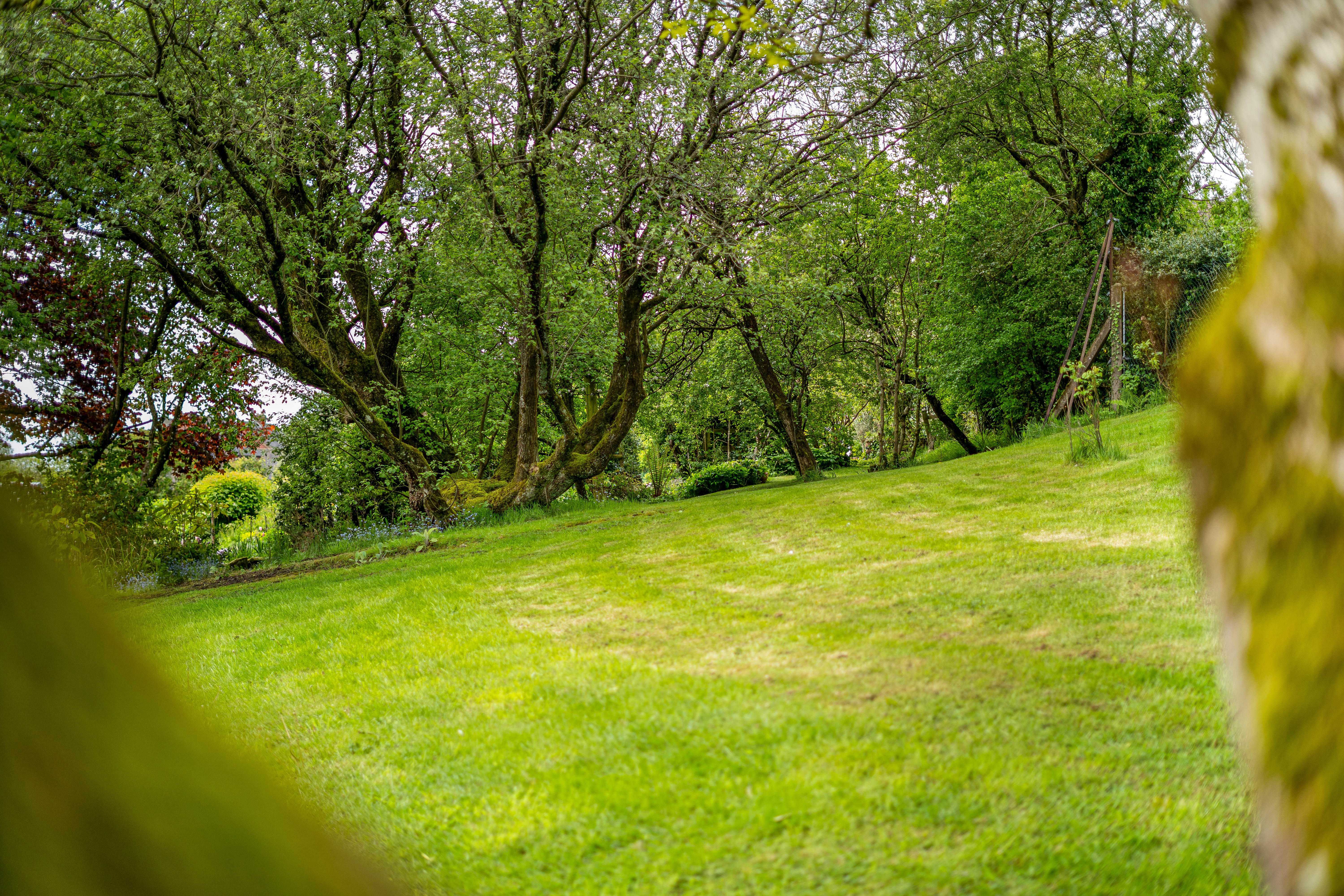 Hopton Bank, Hopton Wafers, DY14, photo 50