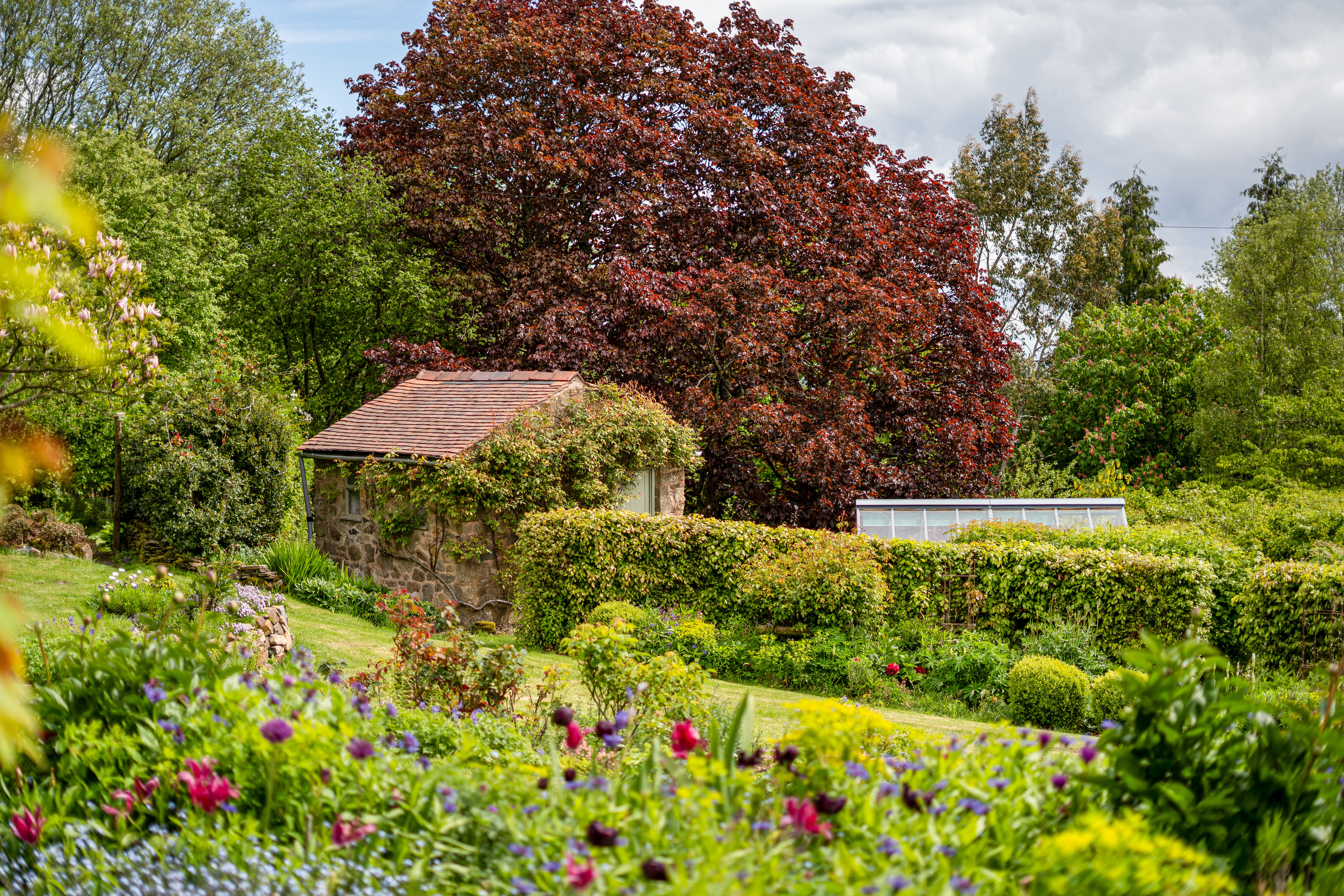 Hopton Bank, Hopton Wafers, DY14, photo 53
