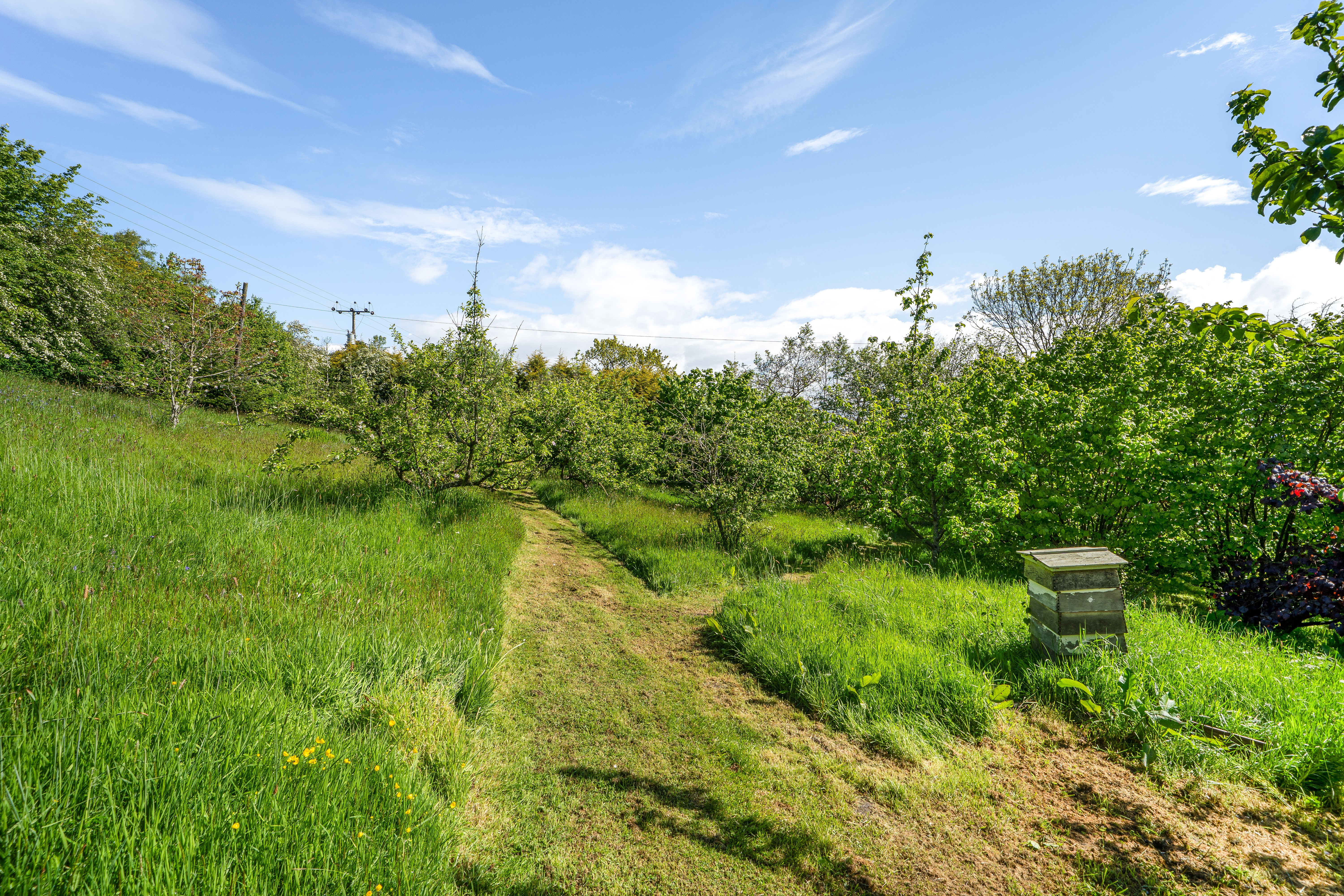 Hopton Bank, Hopton Wafers, DY14, photo 52