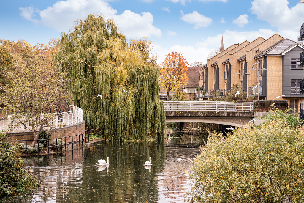 The Cedars, The Butts, Upper Butts, Brentford, TW8, photo 7