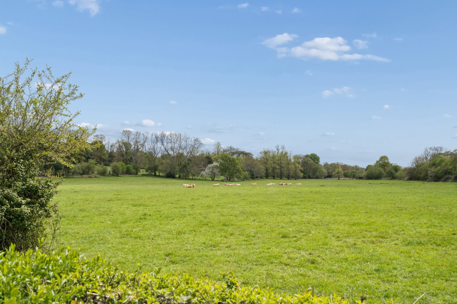 Home 2, Mill Lane, Chalfont St. Giles, Buckinghamshire, HP8, photo 30