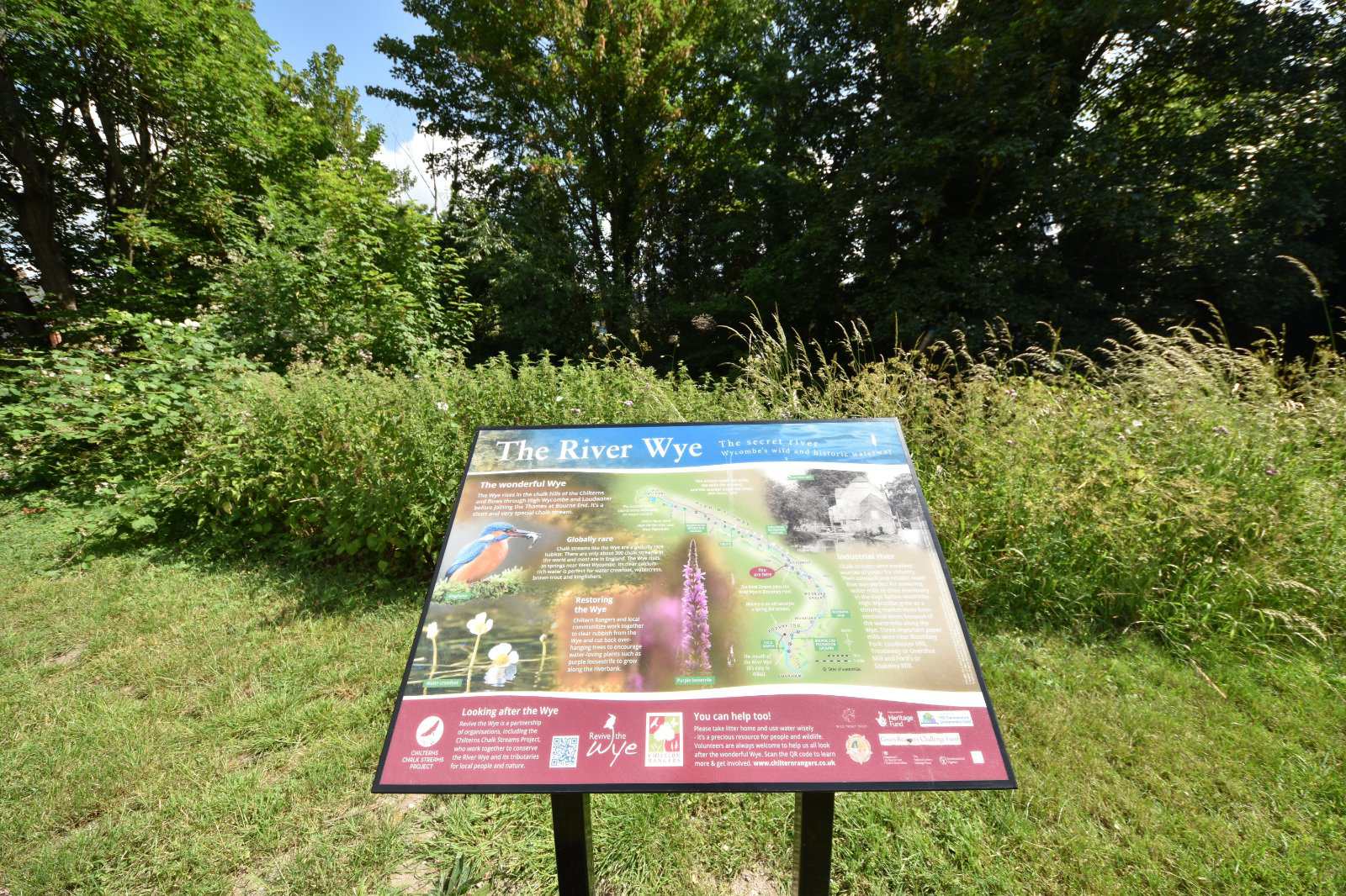Photo 13