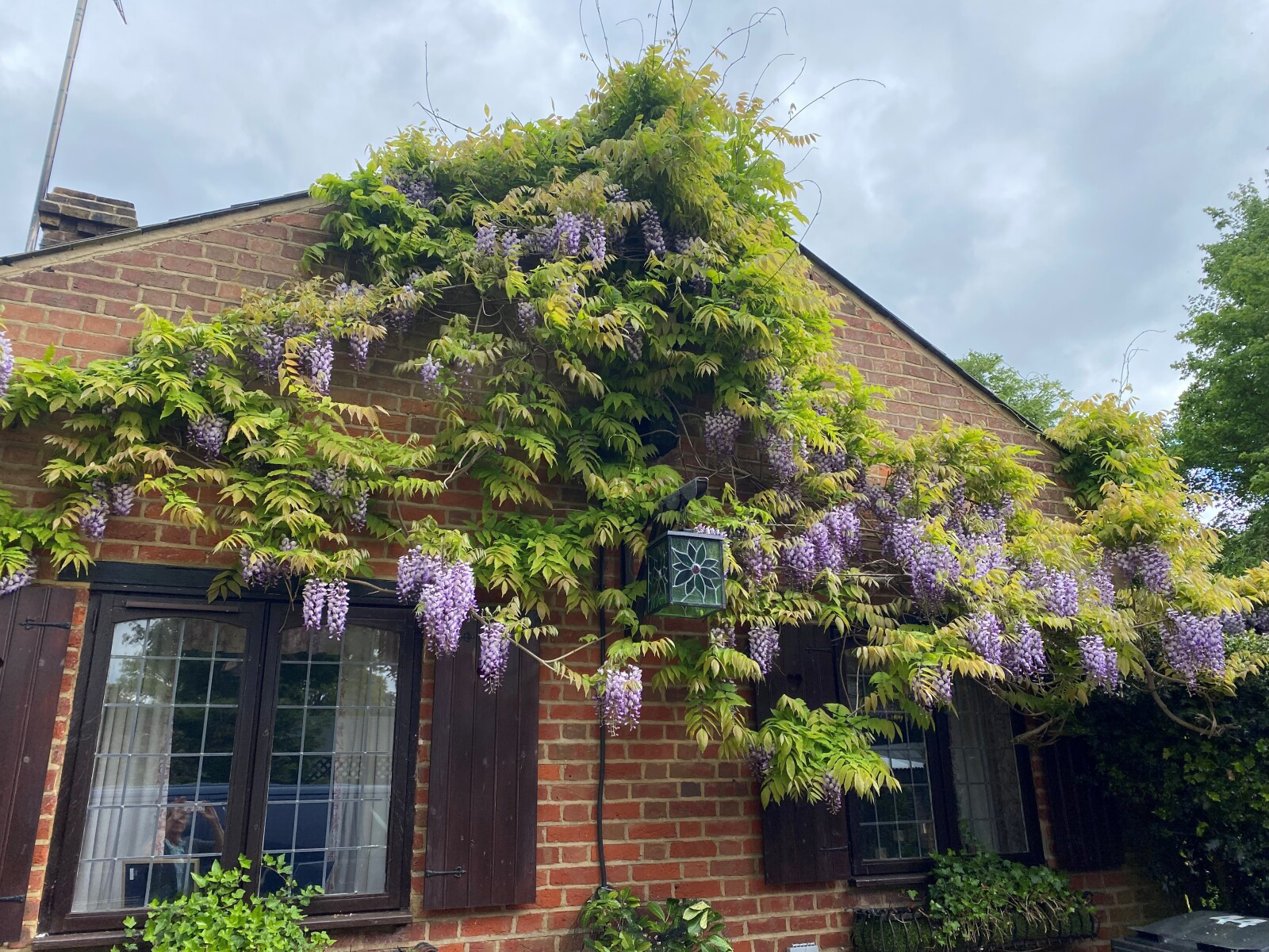 Hedgerley Lane, Gerrards Cross, Buckinghamshire, SL9, photo 38