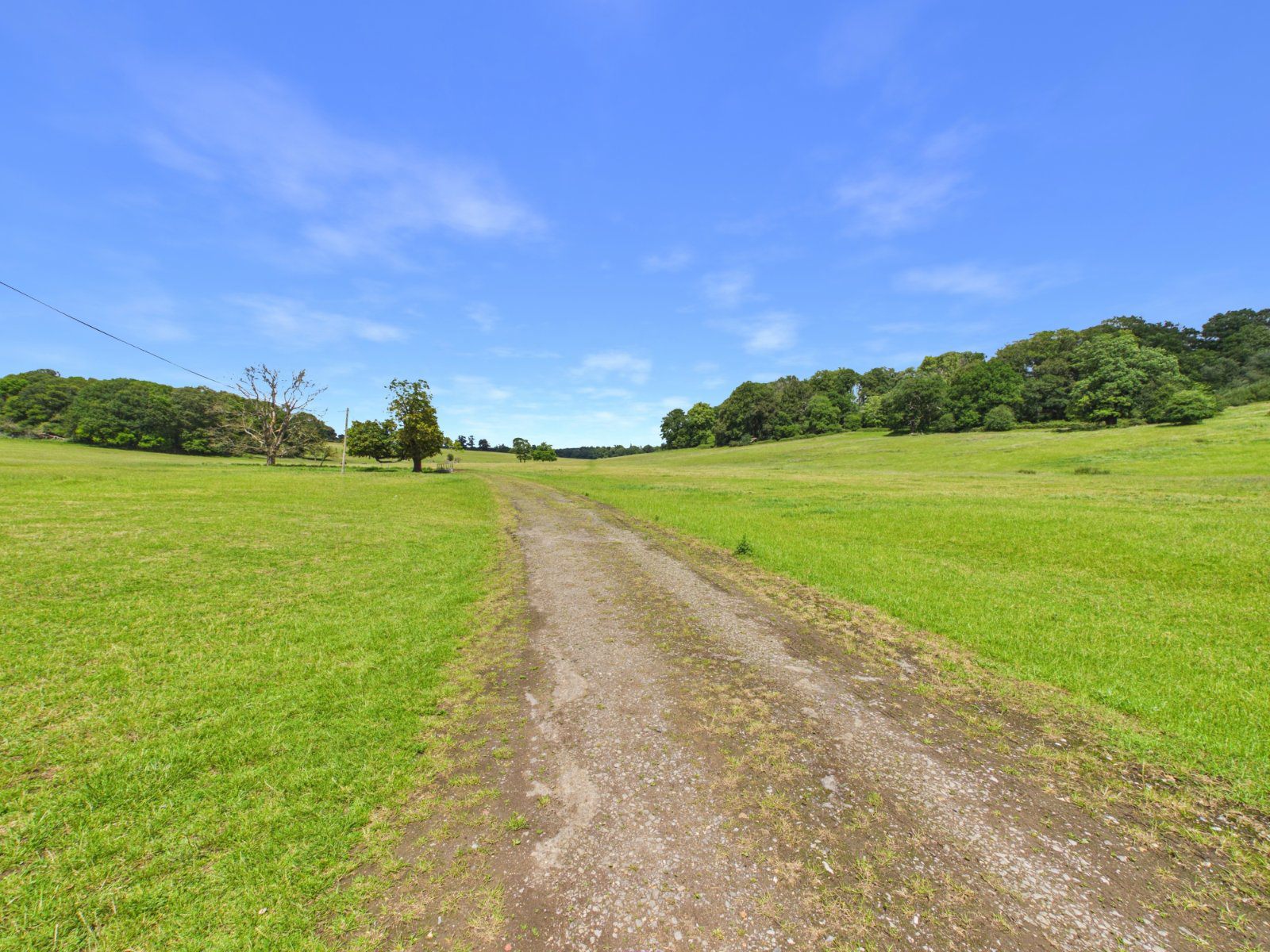 Hedgerley Lane, Gerrards Cross, Buckinghamshire, SL9, photo 15