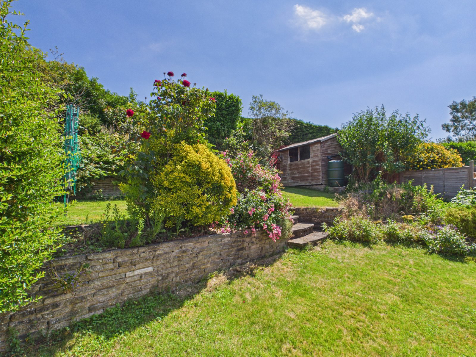 Photo 20