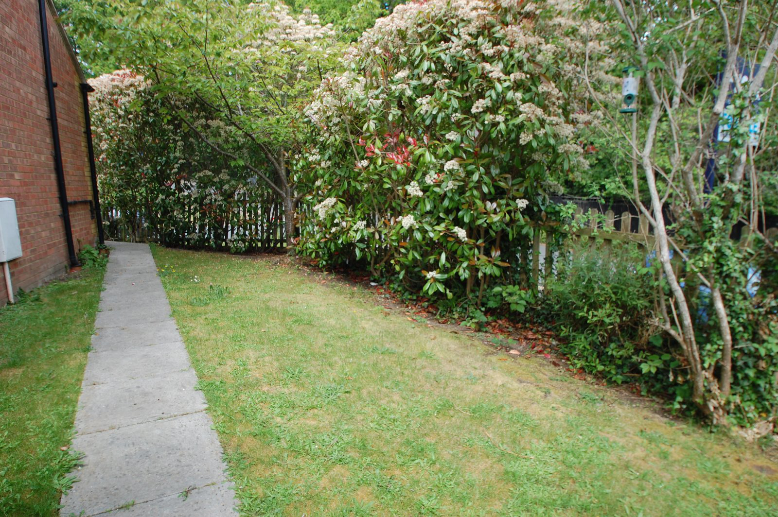 Photo 9