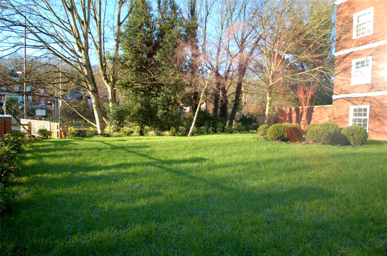 Photo 4