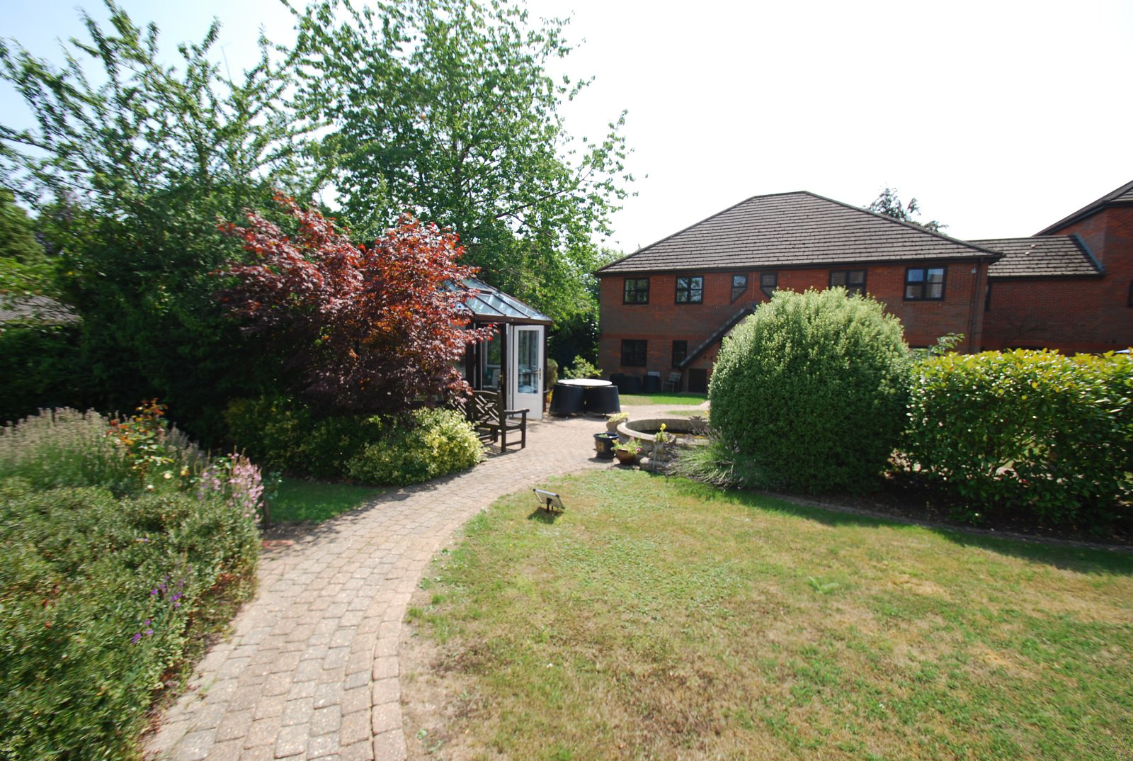 Photo 5