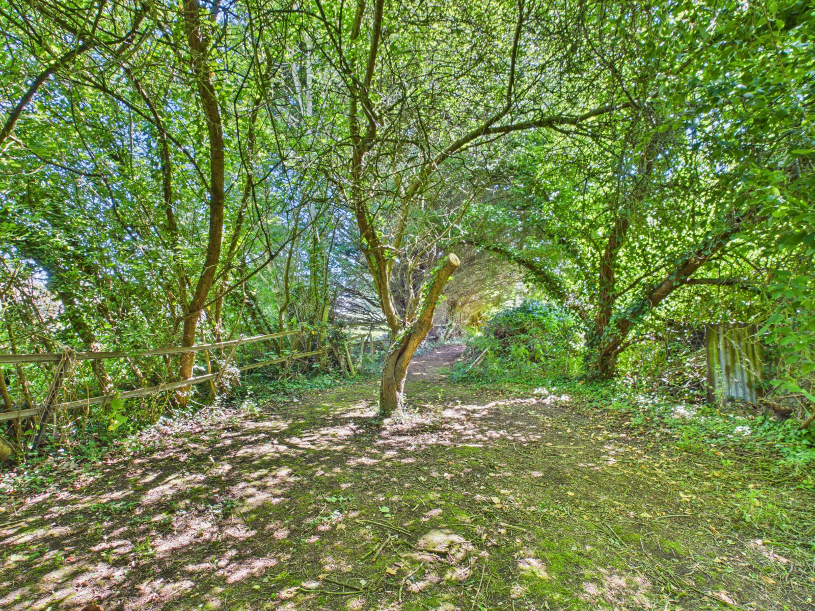 Photo 15