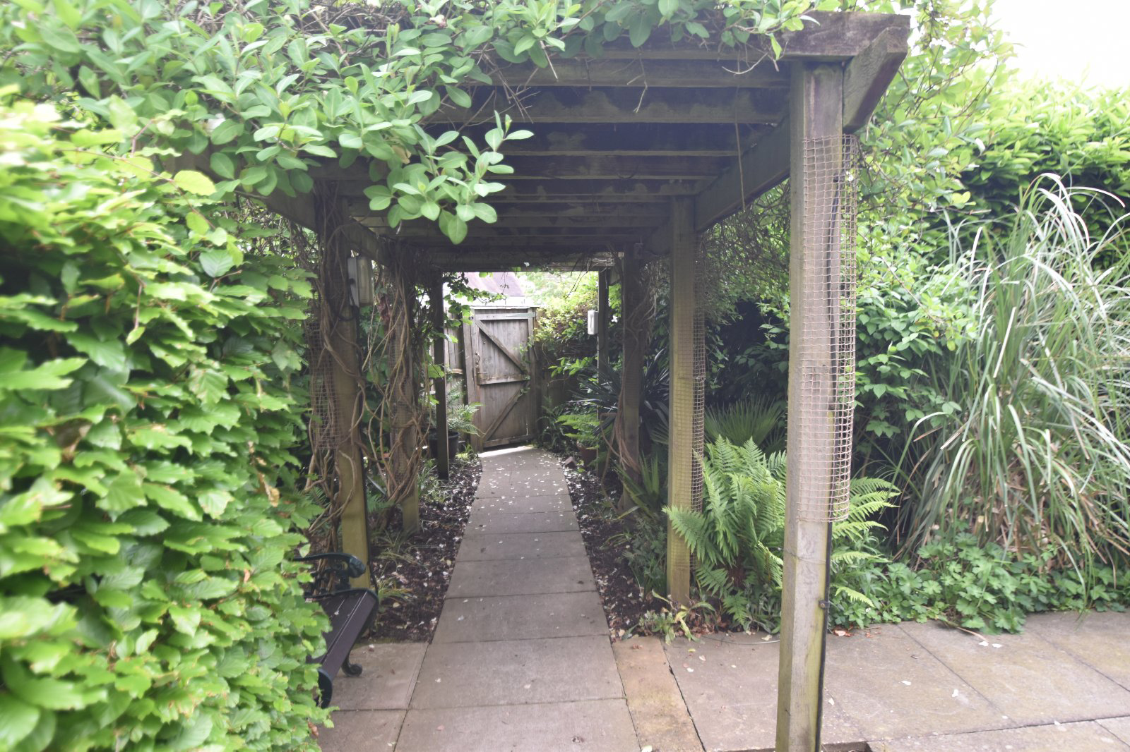 Photo 16