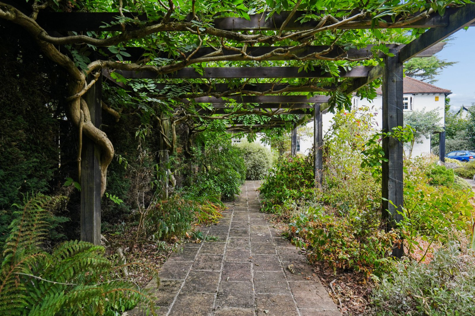 Photo 8