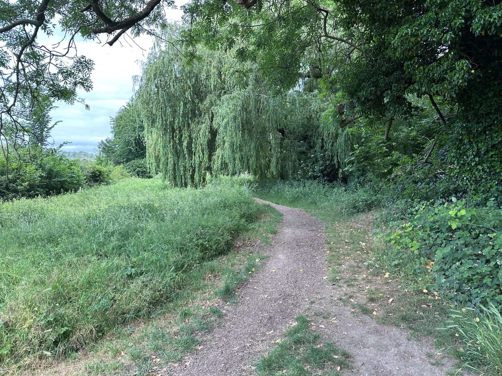 Photo 10
