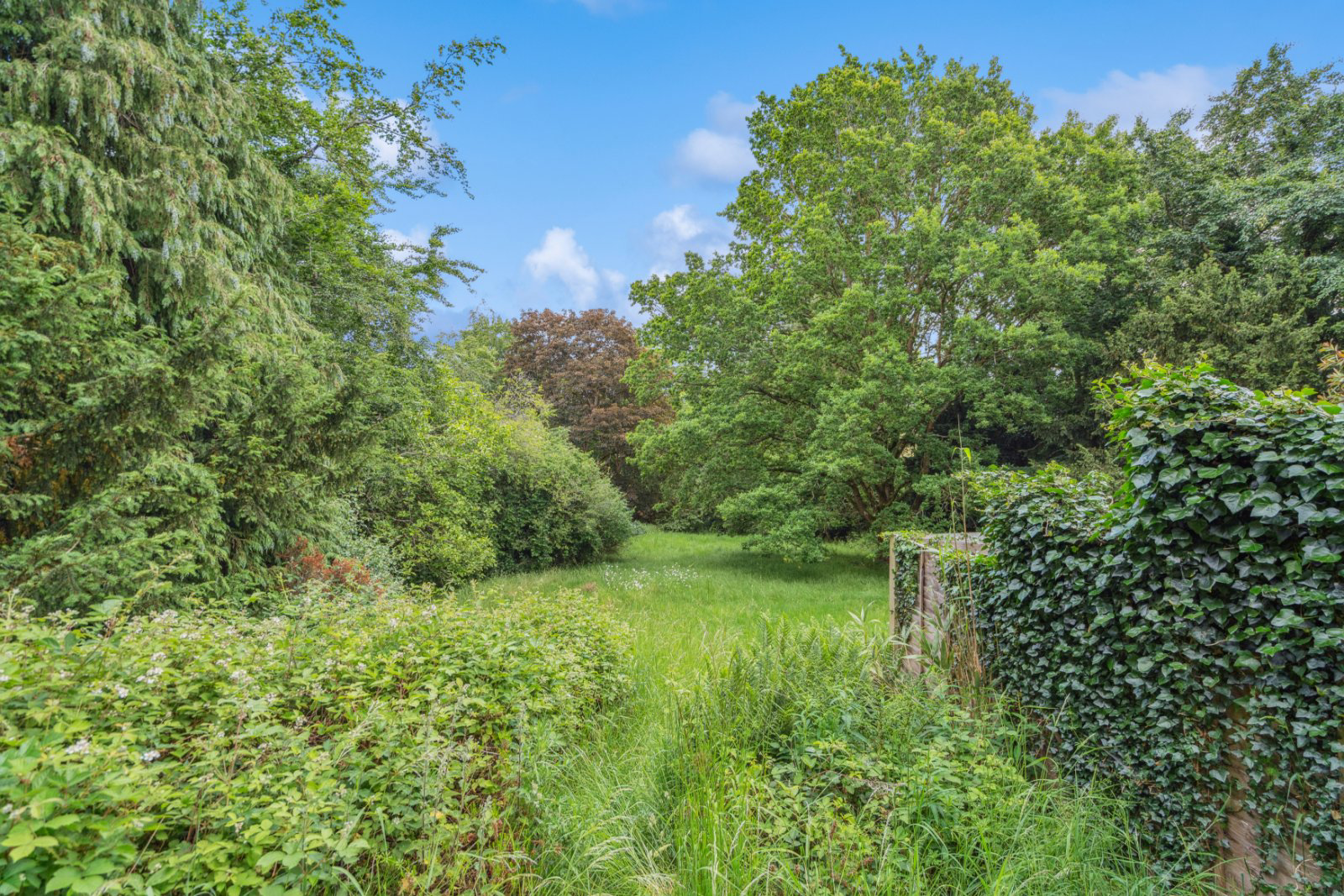 Church Hill, Harefield, Middlesex, UB9, photo 9