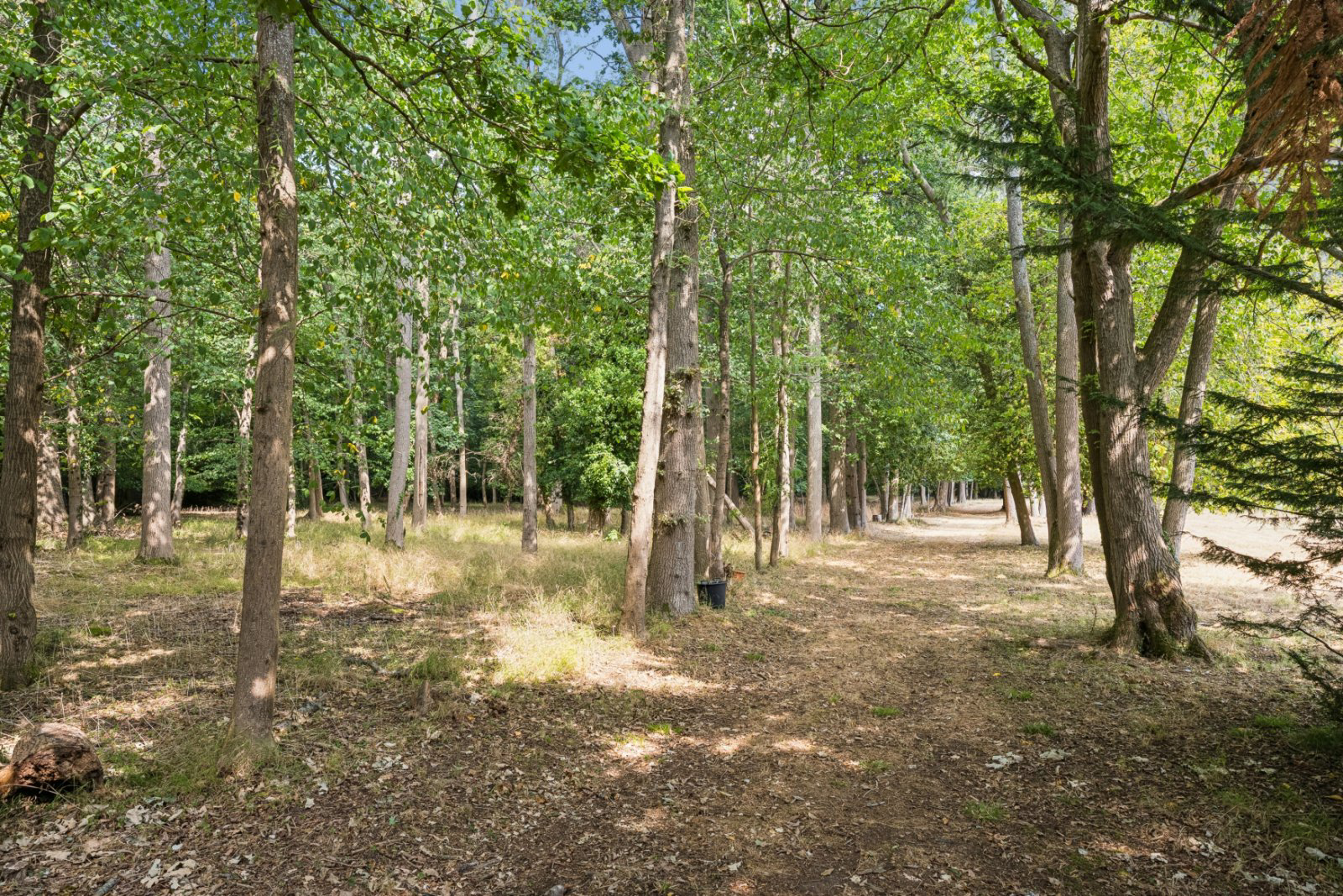 Deadhearn Lane, Chalfont St. Giles, Buckinghamshire, HP8, photo 6