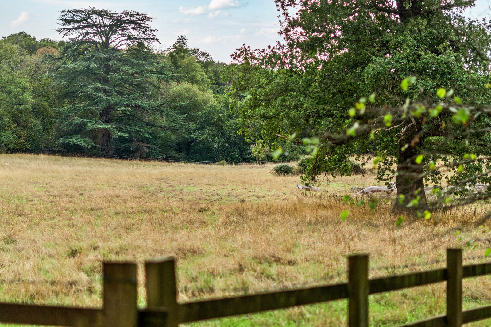 Windmill Road, Fulmer, Buckinghamshire, SL3, photo 16