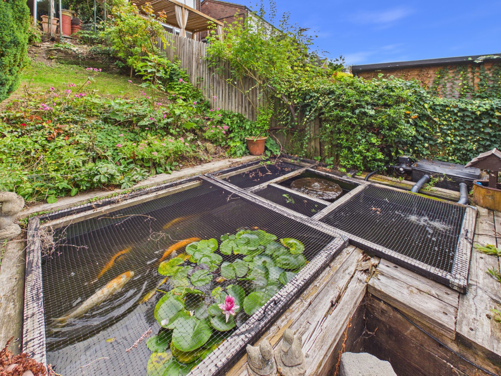 Pond