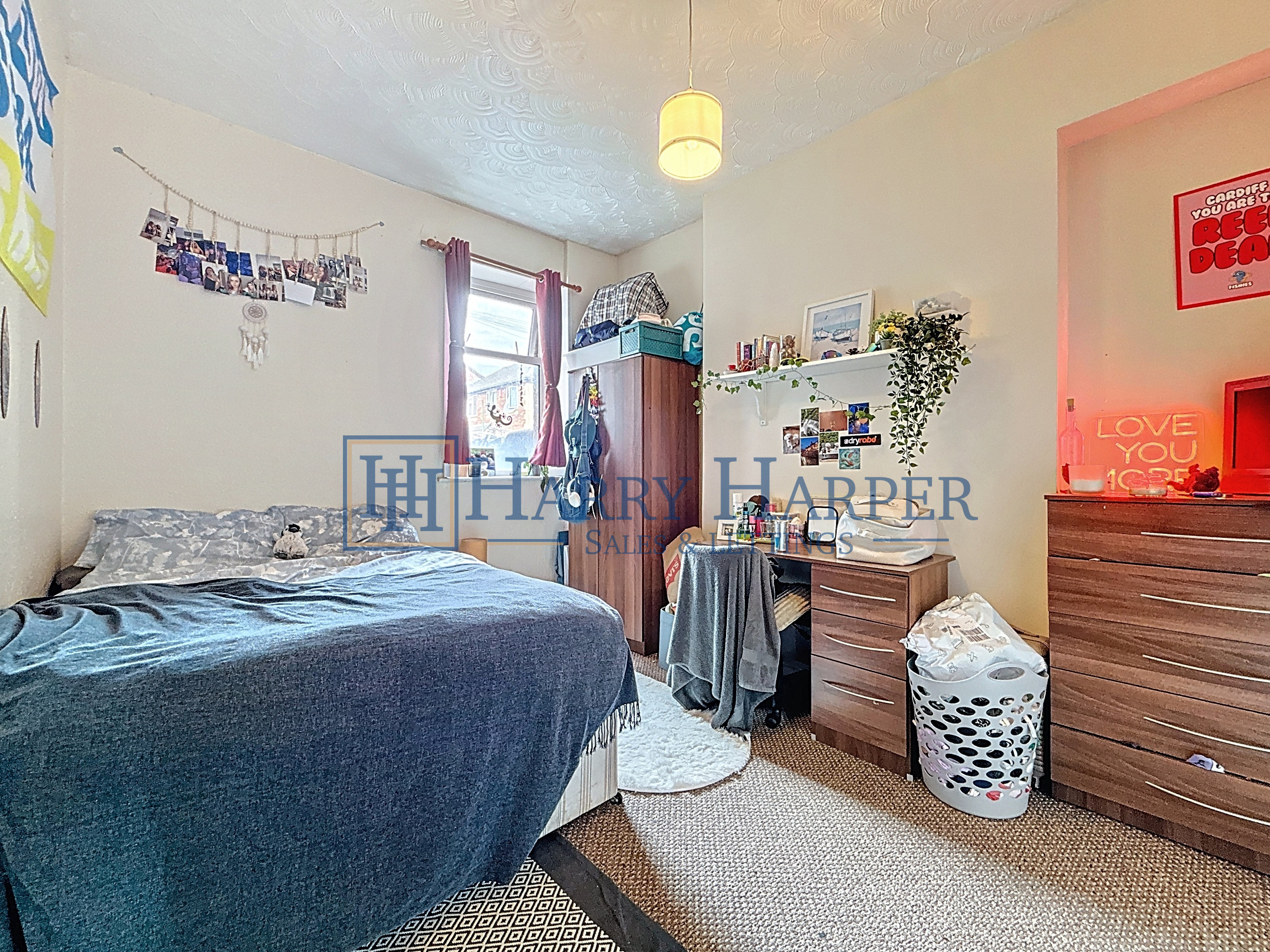 Cathays Terrace, Cardiff, CF24, photo 8
