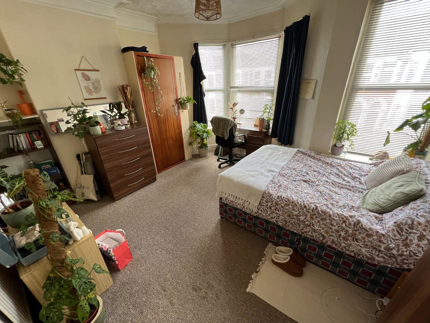 Dogfield Street, Cardiff, CF24, photo 7