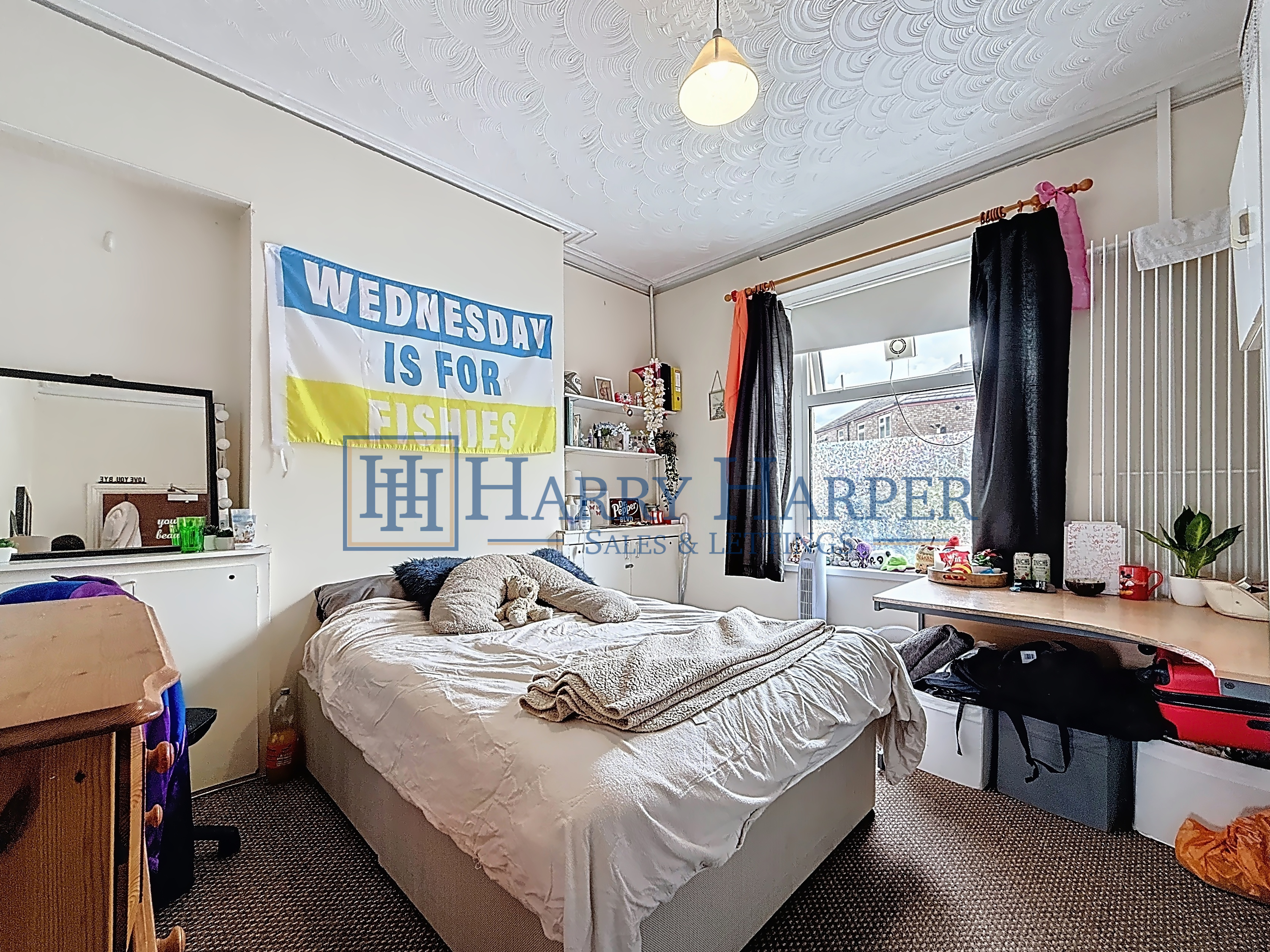 Cathays Terrace, Cardiff, CF24, photo 6