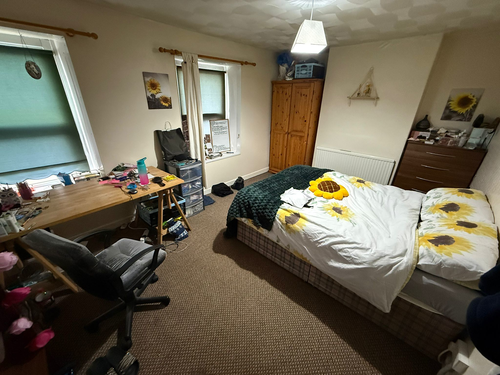Cathays Terrace, Cardiff, CF24, photo 6
