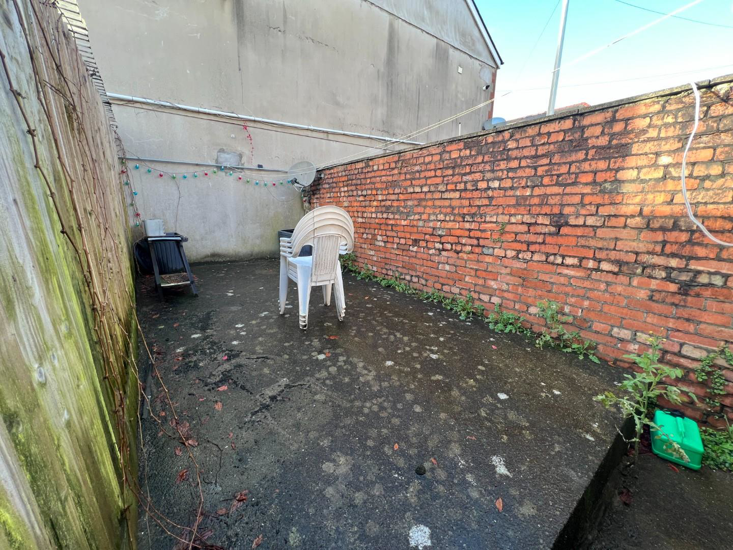 Cathays Terrace, Cardiff, CF24, photo 9