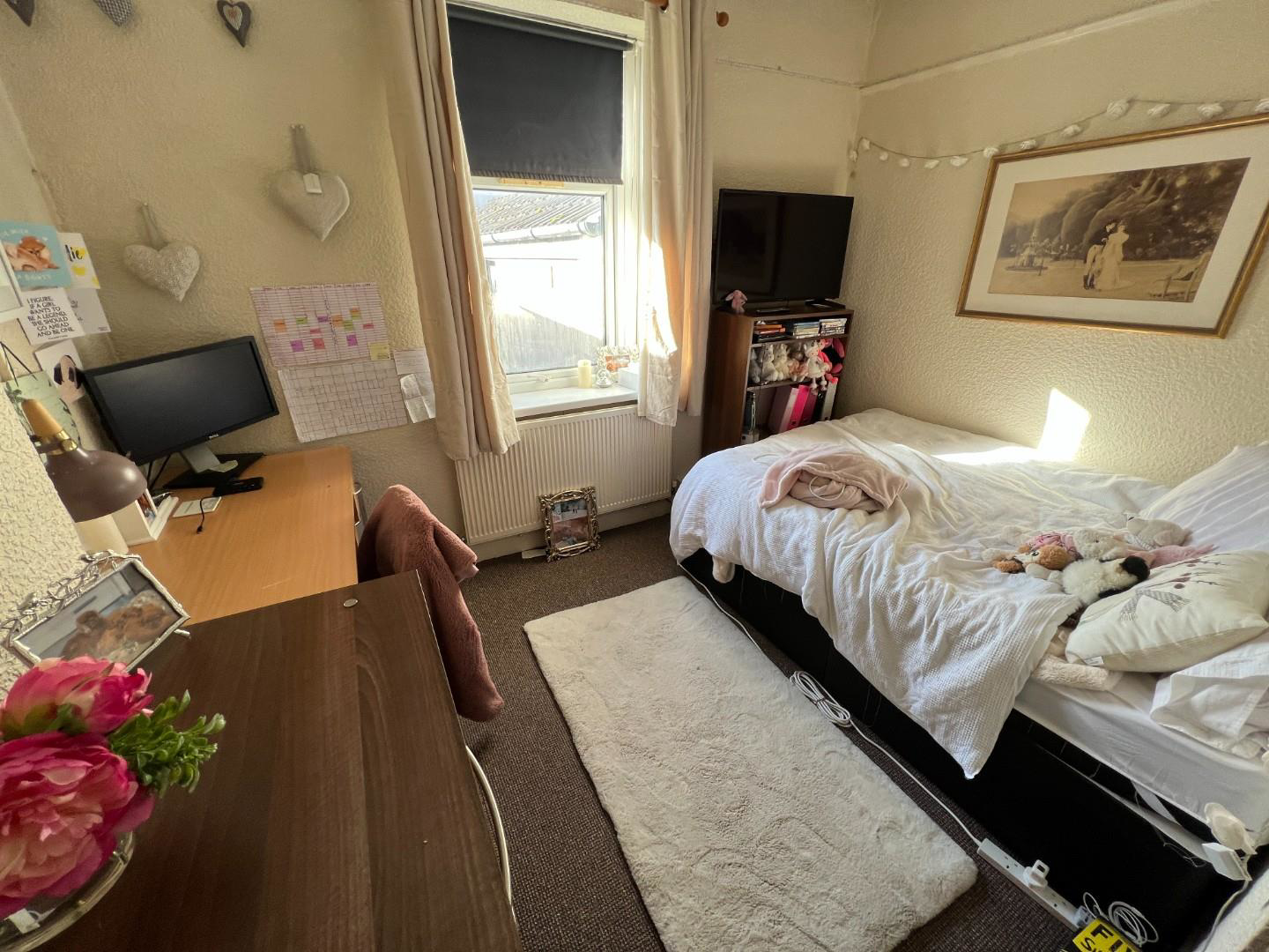 Cathays Terrace, Cardiff, CF24, photo 6